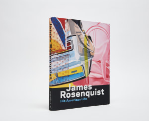 Rosenquist Catalogue cover, detail of Lanai