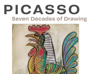 PICASSO: Seven Decades of Drawing