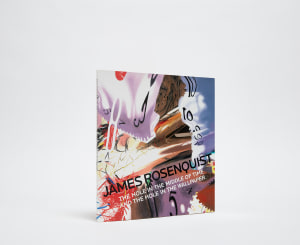James Rosenquist: The Hole in the Middle of Time and the Hole in the Wallpaper Catalogue Cover