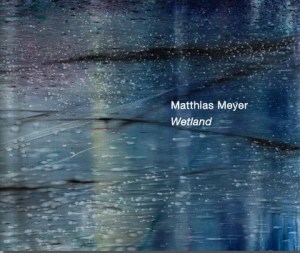 Matthias Meyer: Wetland