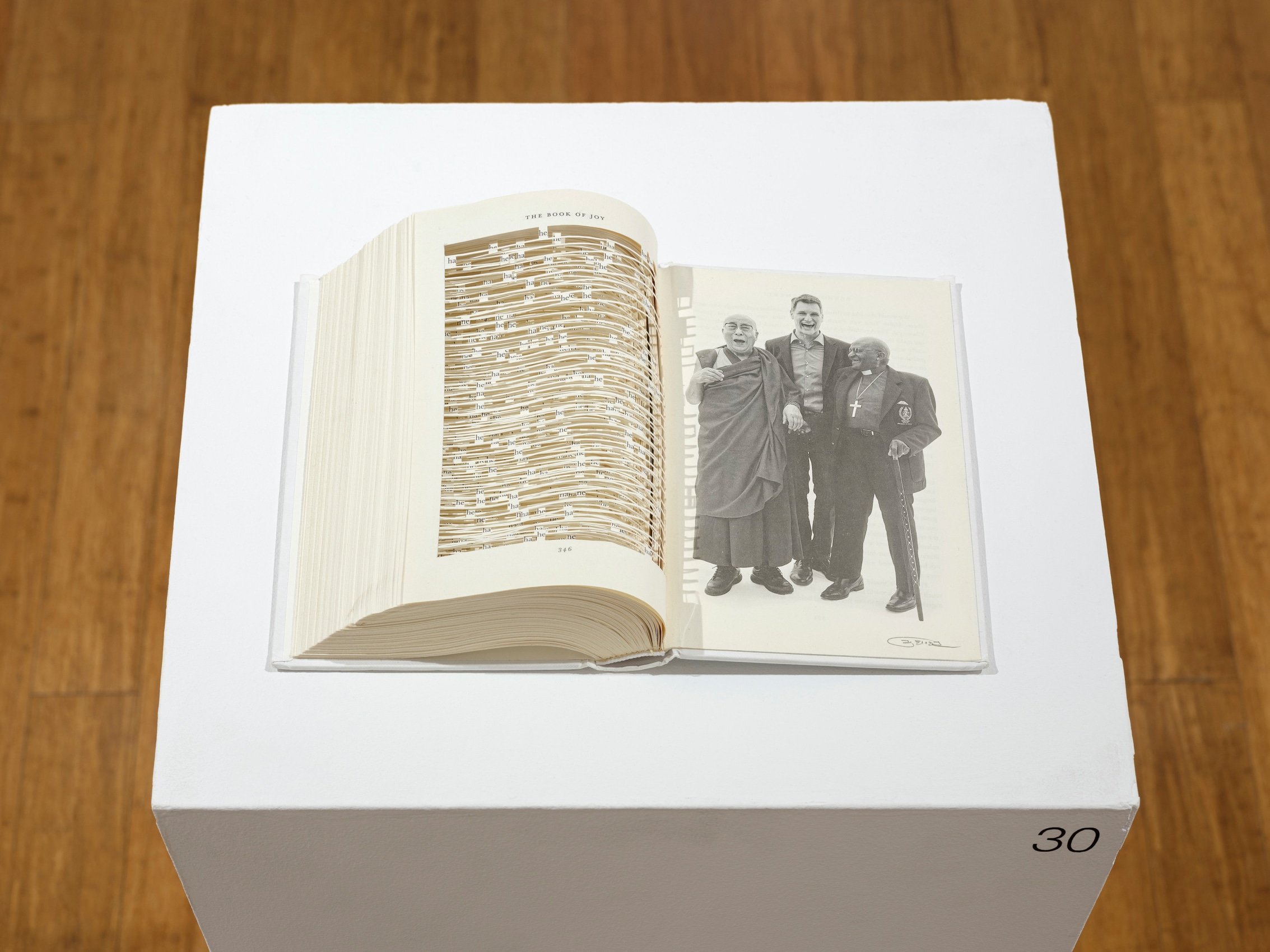 Youdhisthir Maharjan