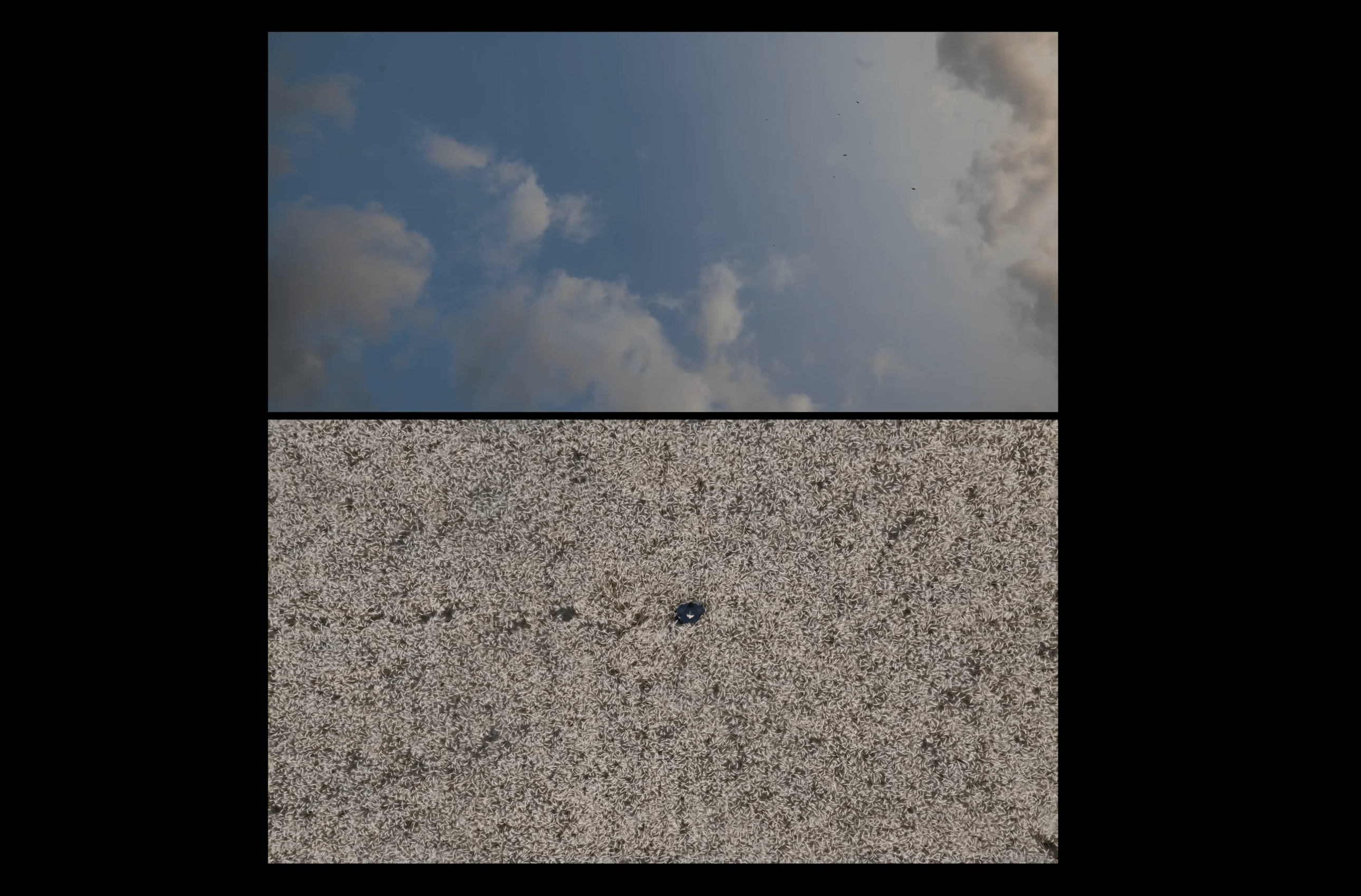 Art video of the artist in her farm