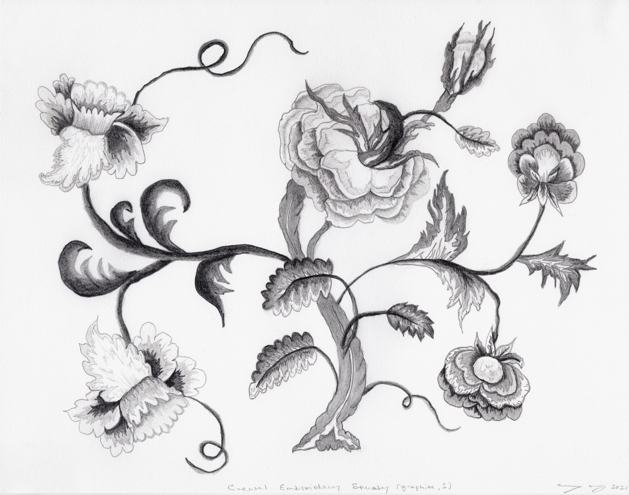 Max Colby,&nbsp;Crewel Embroidery Study #1, 2021,&nbsp;Graphite on Arches paper, approx. 10 x 13 in (25.4 x 33.02 cm)