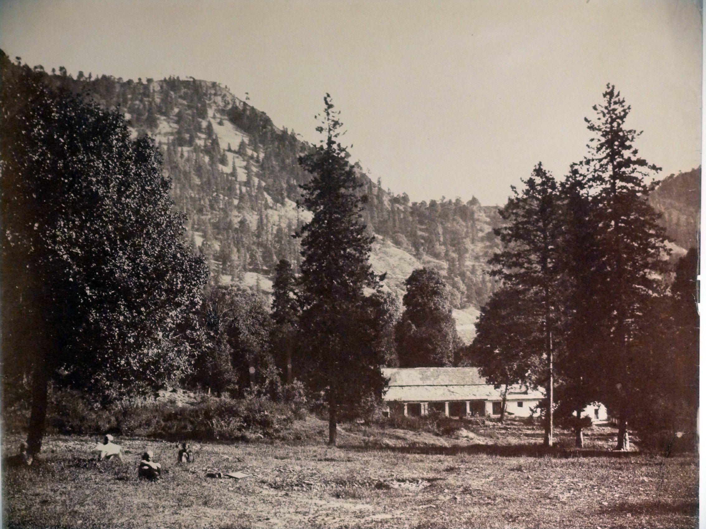 Nainital, view of house in forest