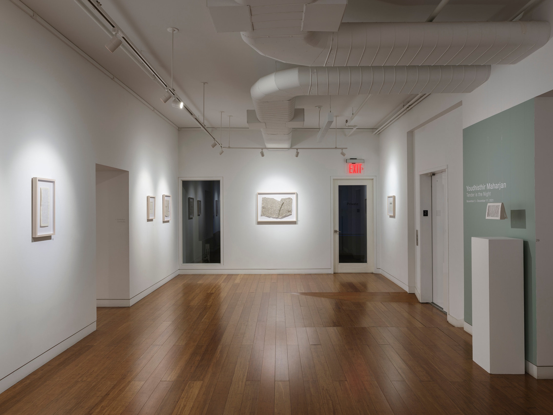 Youdhisthir Maharjan