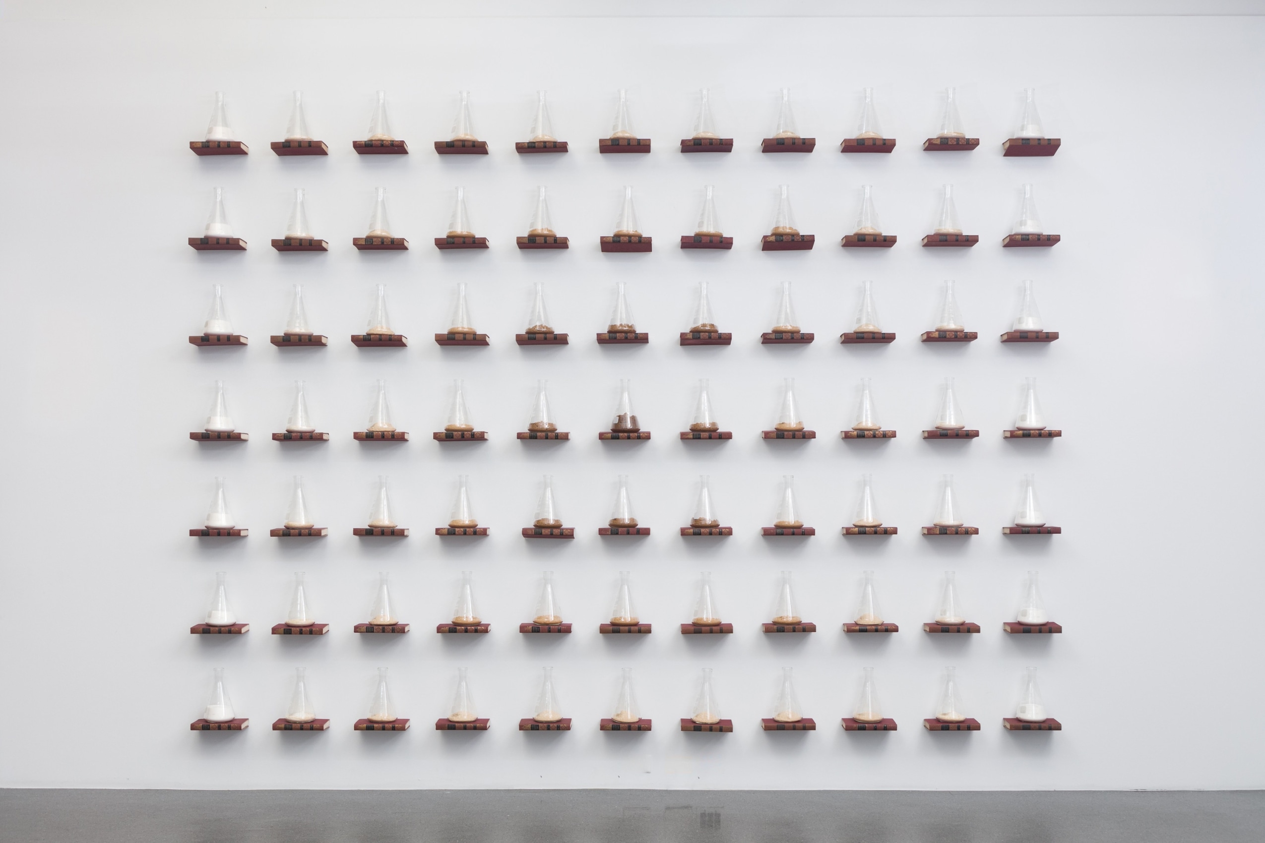 Suchitra Mattai,&nbsp;Skin,&nbsp;2018,&nbsp;Sugar, flasks, vintage encyclopedias, Dimensions variable&nbsp;