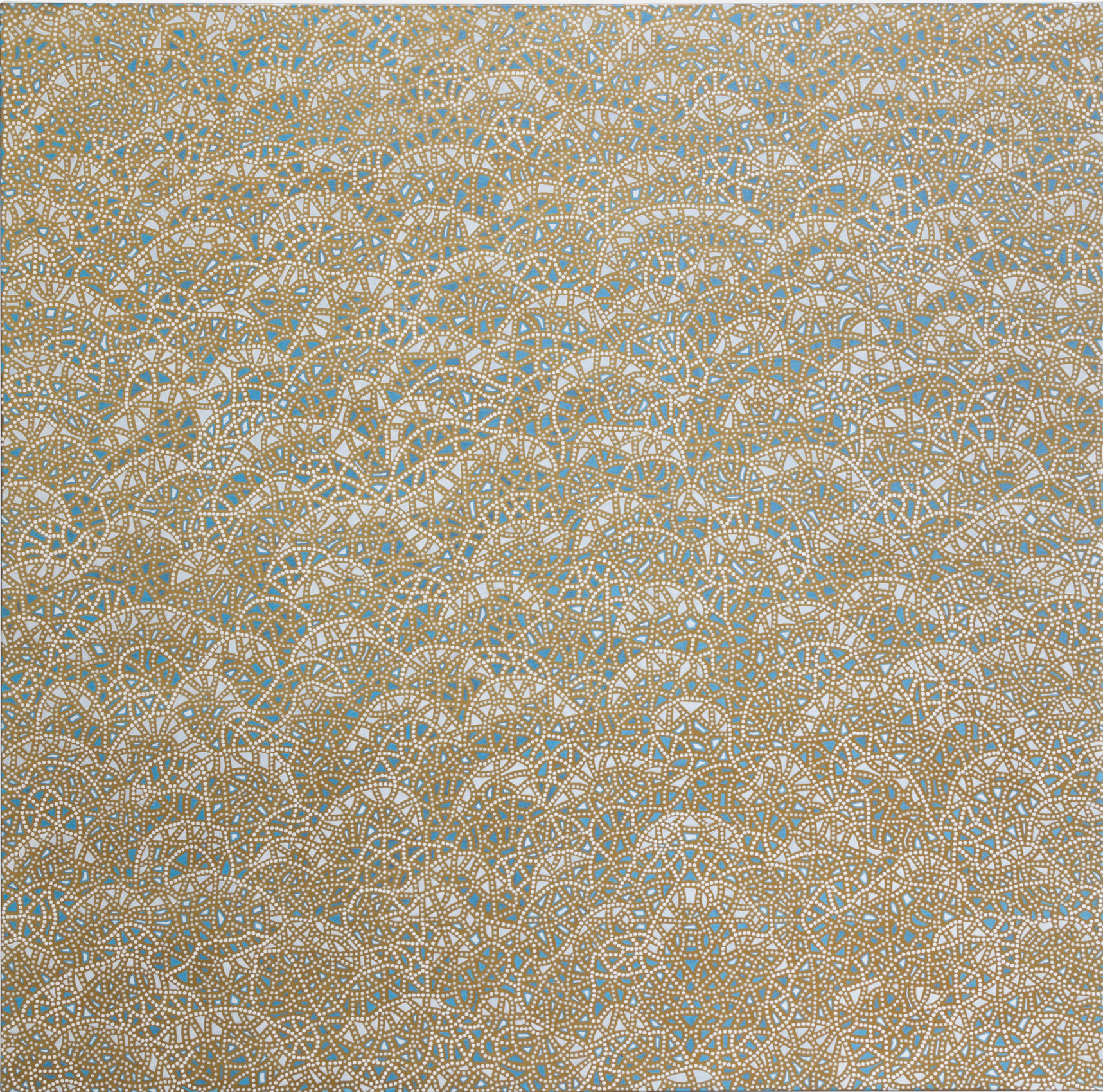 Anil Revri Fractal 9