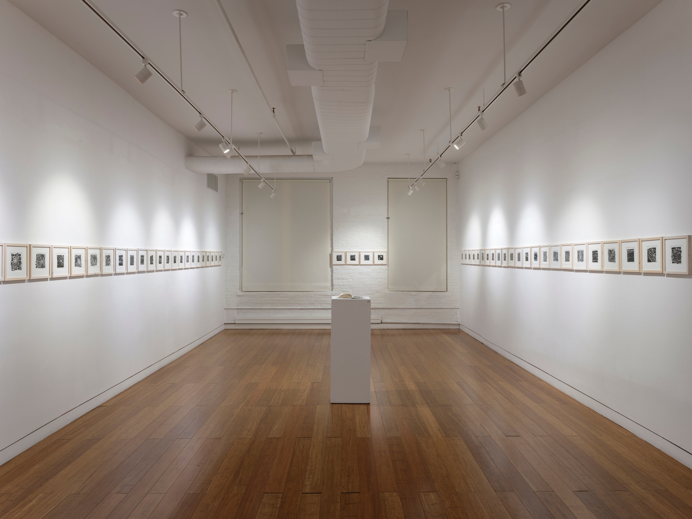 Youdhisthir Maharjan