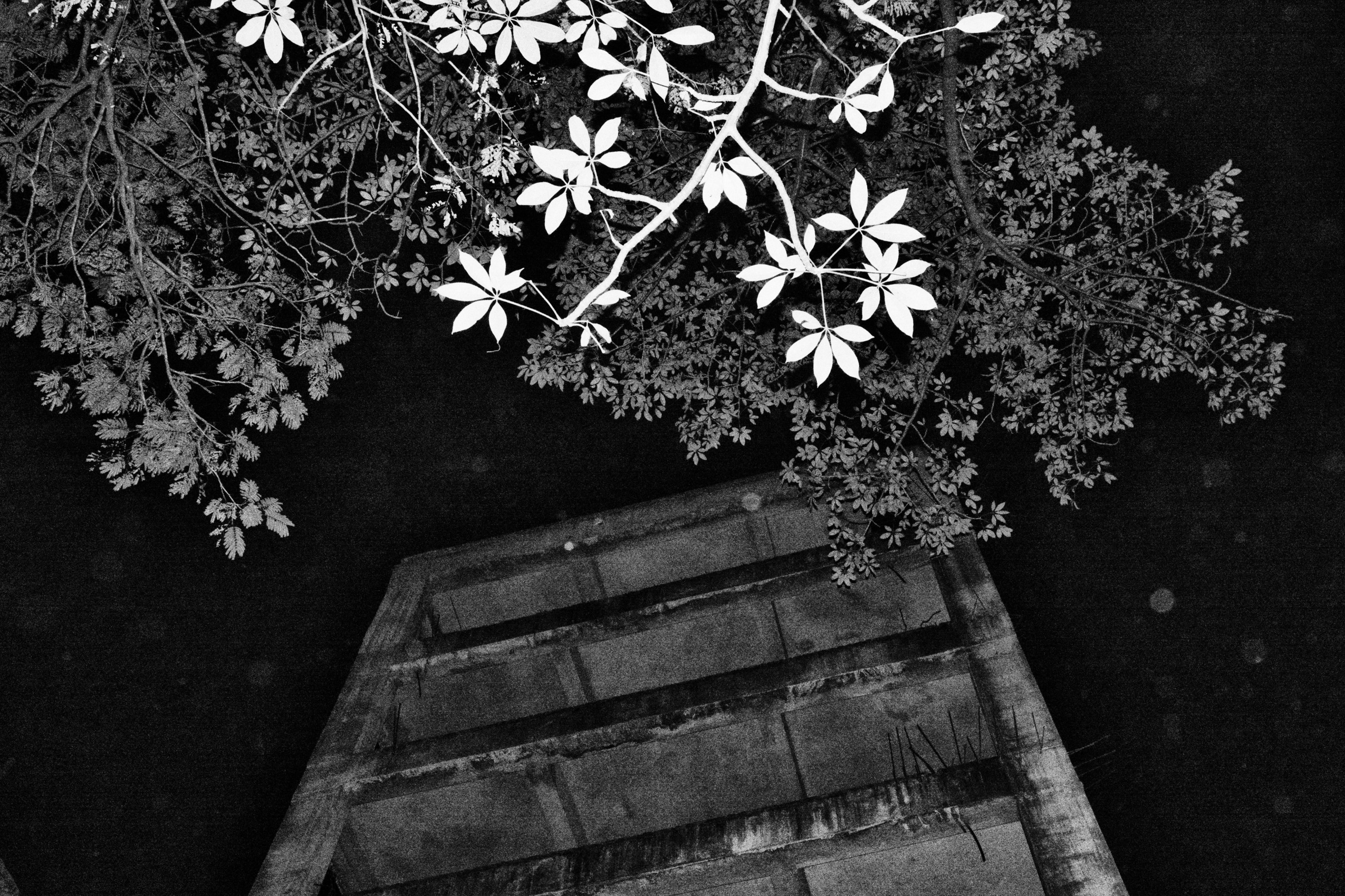 Soham Gupta, From the Series&nbsp;Angst (Untitled 4), photograph, 19.685 x 29.53 in (50 x 75 cm)