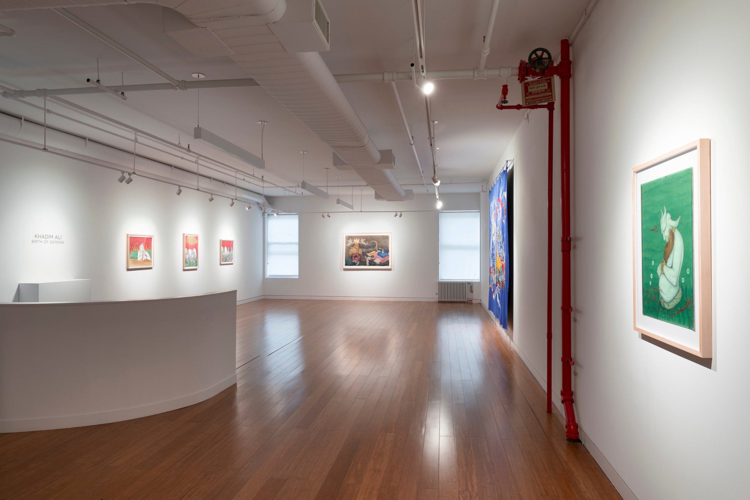 Khadim Ali, Birth of Demons, Installation View