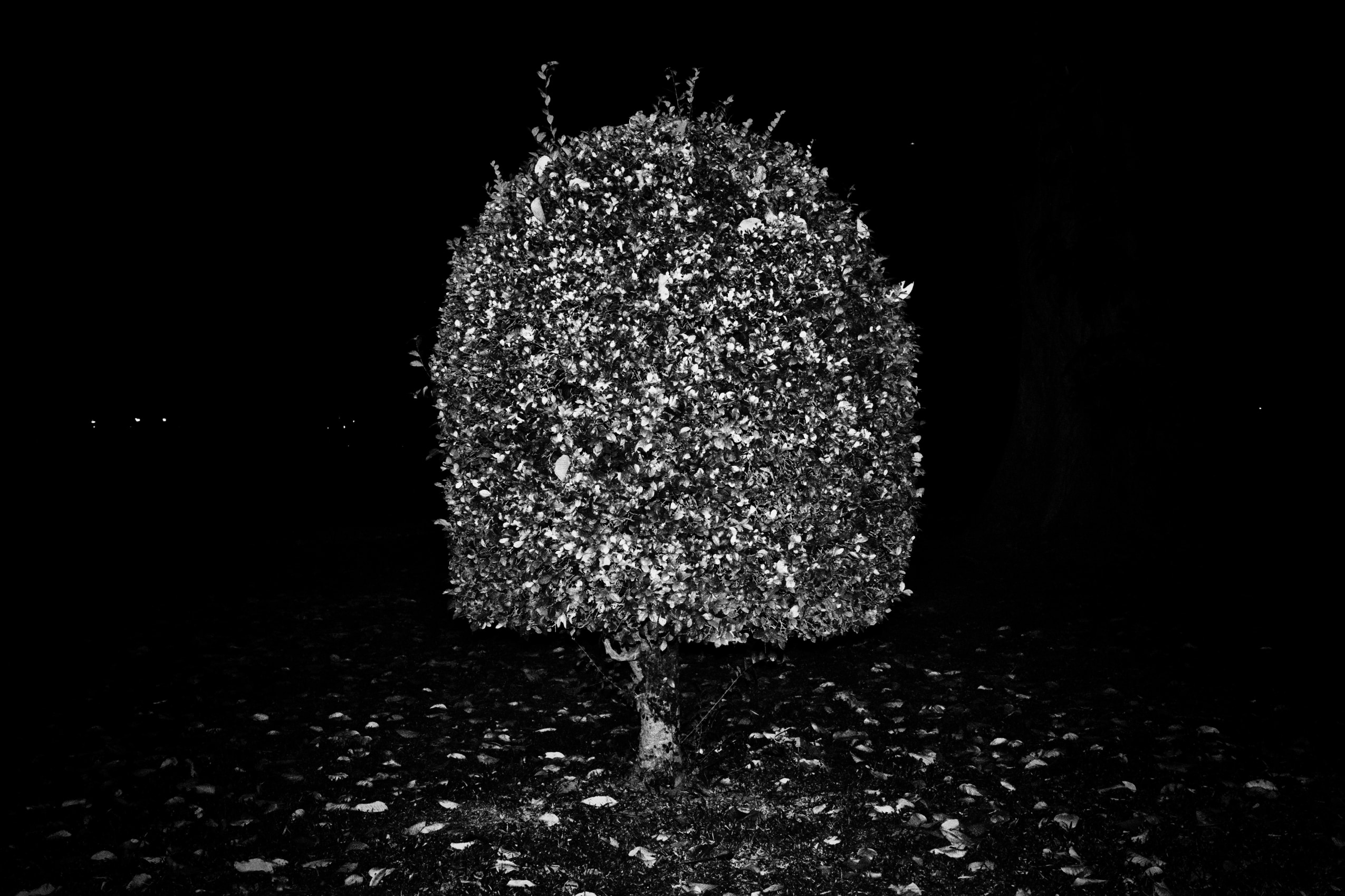 Soham Gupta, From the Series&nbsp;Angst (Untitled 2), photograph, 19.685 x 29.53 in (50 x 75 cm)