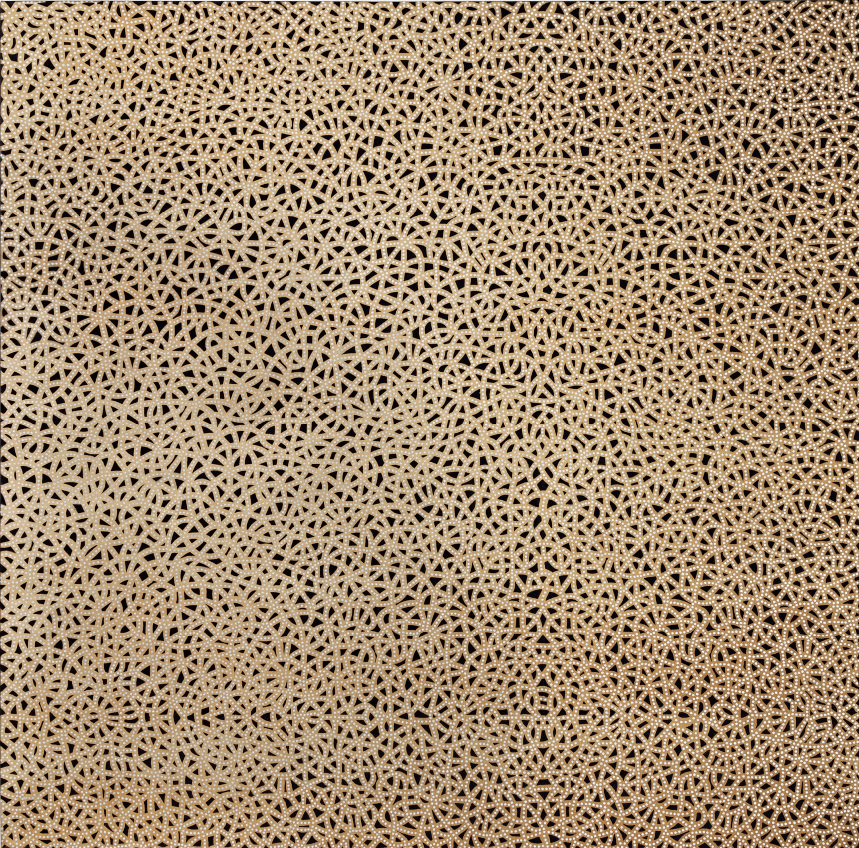 Anil Revri Fractal 8