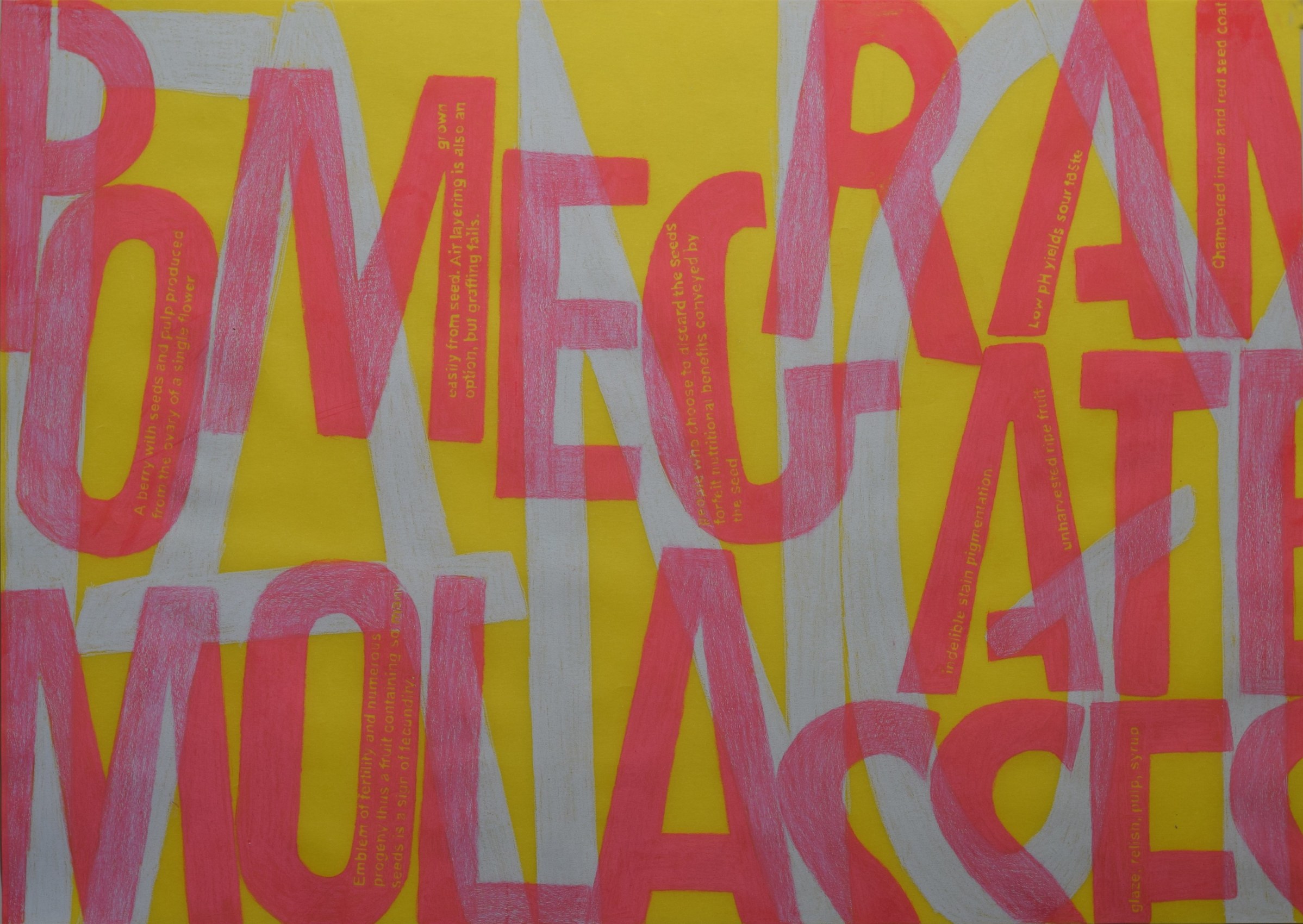 Mequitta Ahuja, Pomegranate Molasses,&nbsp;2018,&nbsp;Color pencil on paper,&nbsp;19.5 x 27 in