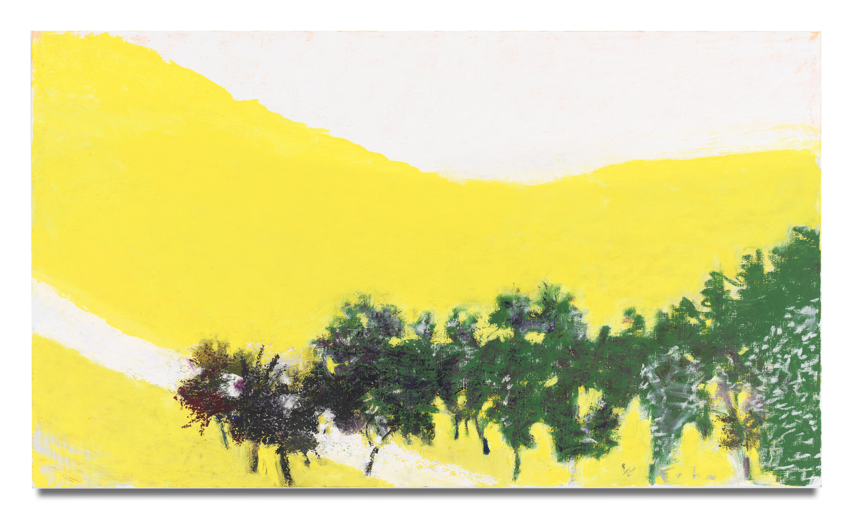 Under a White Sky, 2014, Oil on canvas, 30 x 52 inches, 76.2 x 132.1 cm, MMG#28163