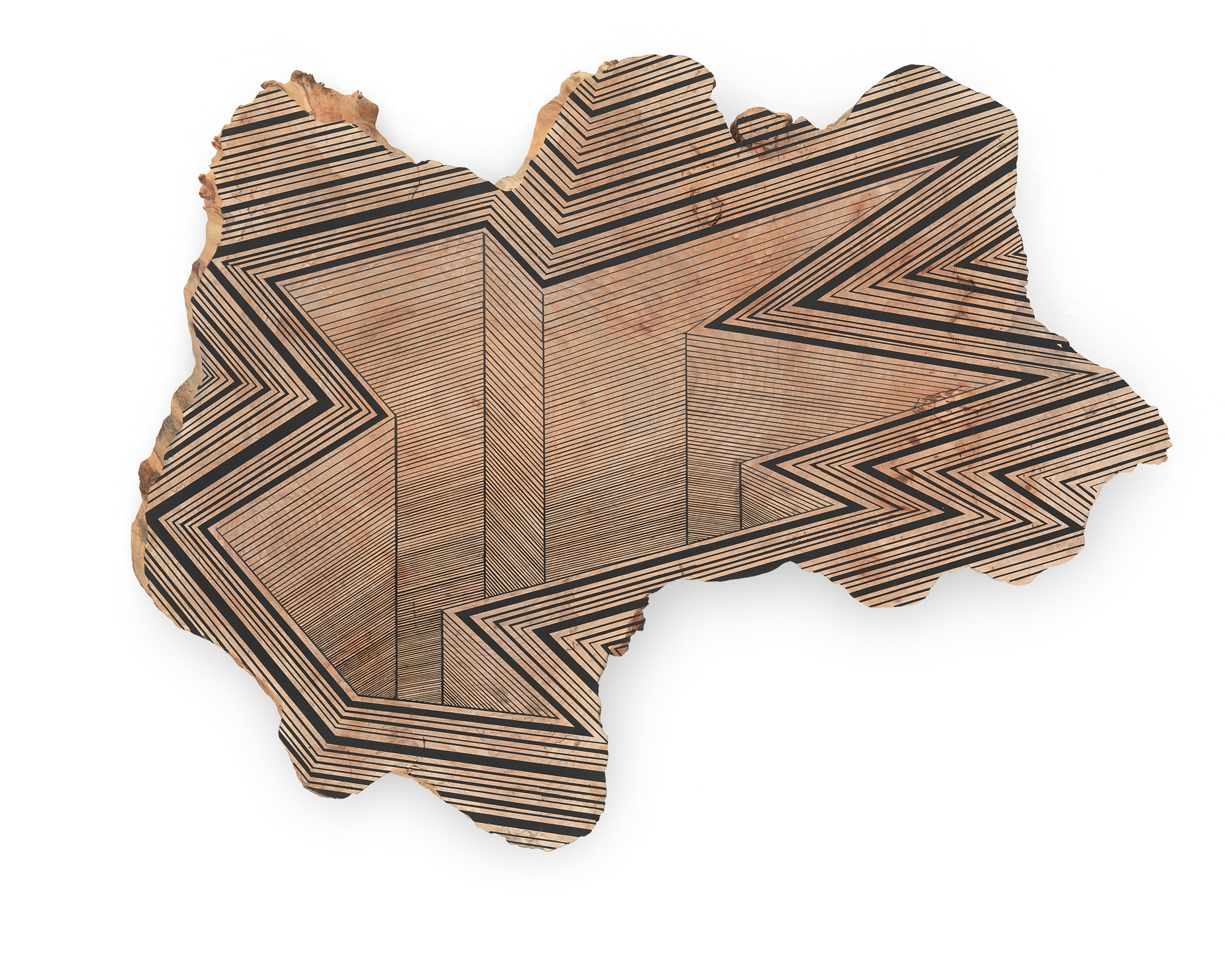 We are in a Deep Hole Now, 2016 Acrylic on maple, 26 x 34 x 1 inches, 66 x 86.4 x 2.5 cm, MMG#29266