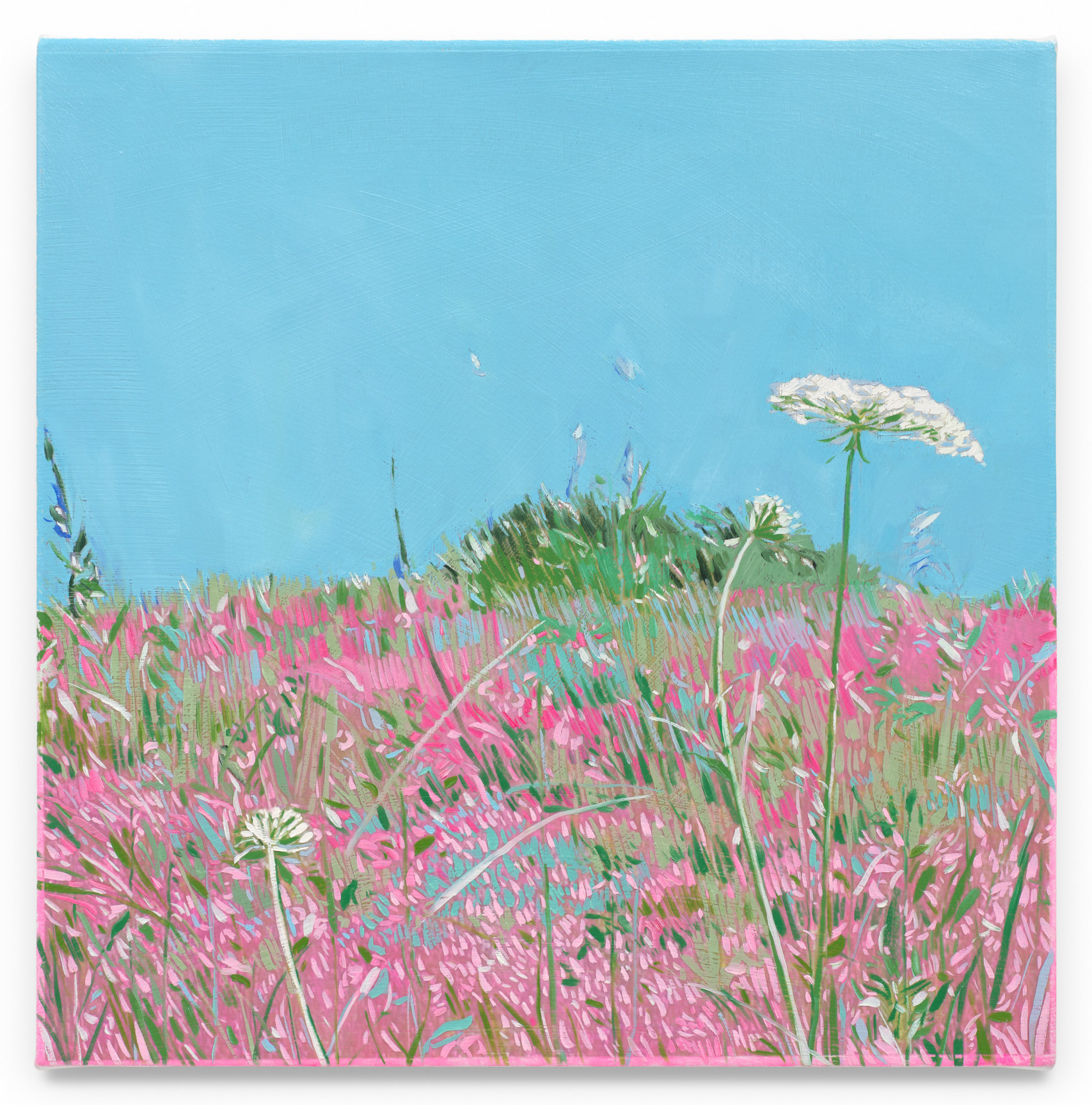 Pink Wildflowers (Detail), 2024, Mixed media oil on canvas, 17 x 17 inches, 43.2 x 43.2 cm,&nbsp;MMG#36633