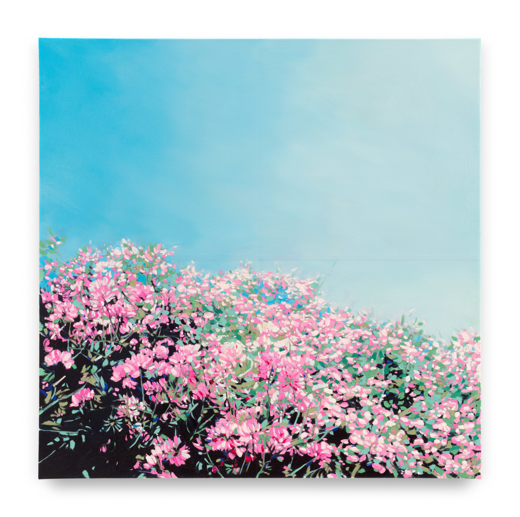 Pink Wildflowers, 2023, Mixed media oil on canvas, 34 x 34 1/4 inches, 86.4 x 87 cm, MMG#35942