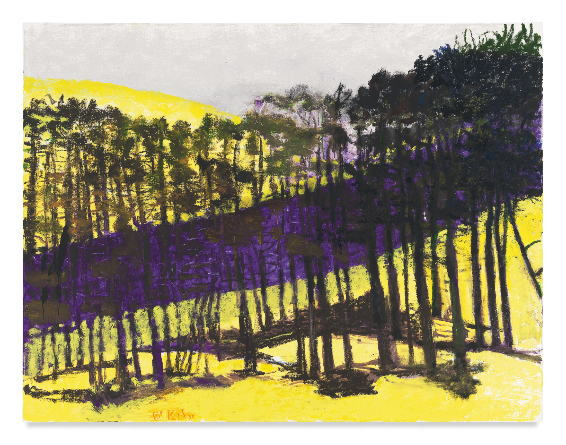 Slope, 2015, Oil on canvas, 52 x 68 inches, 132.1 x 172.7 cm, MMG#28050