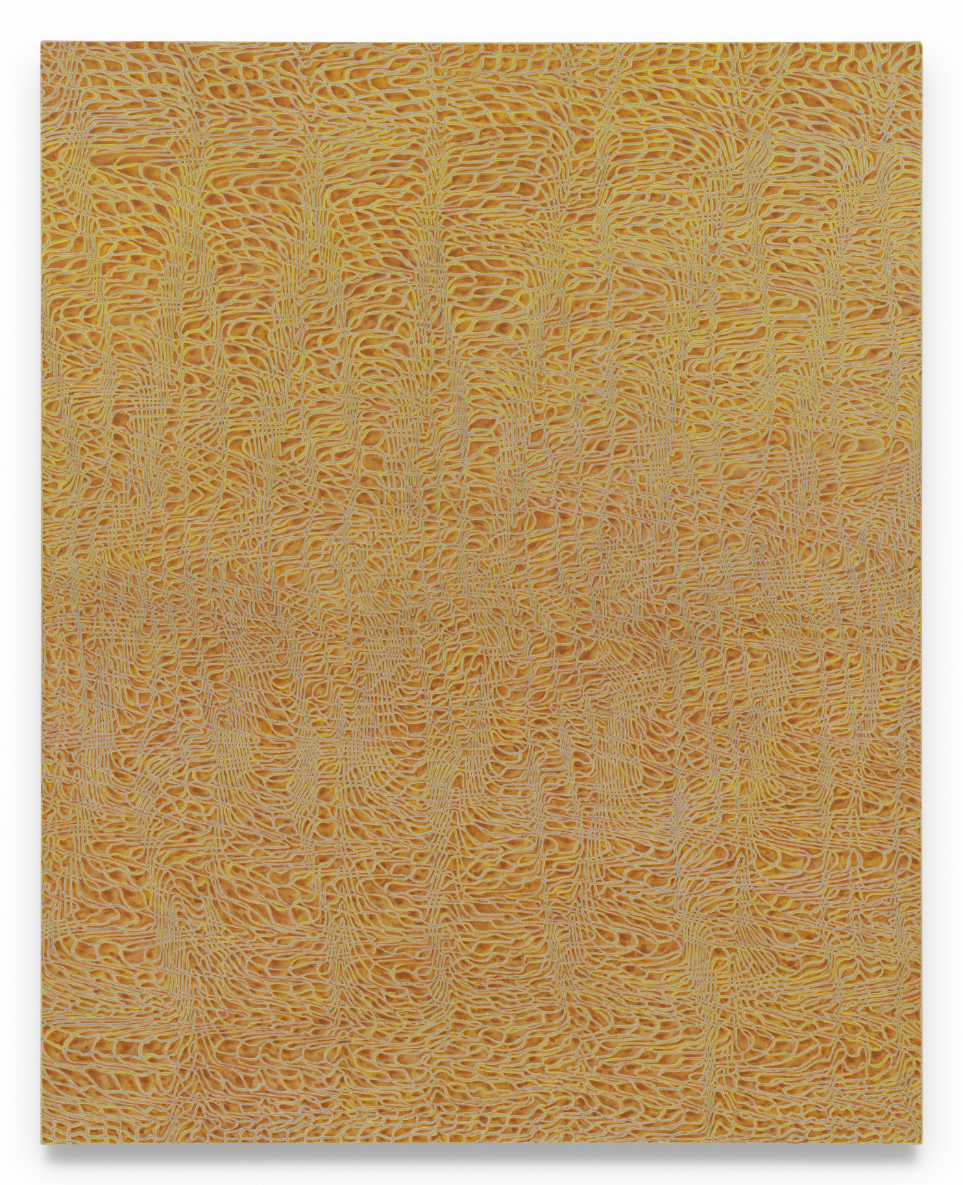 Phenotasp, 2024, Acrylic and graphite on linen, 60 x 48 inches, 152.4 x 121.9 cm, MMG#37234