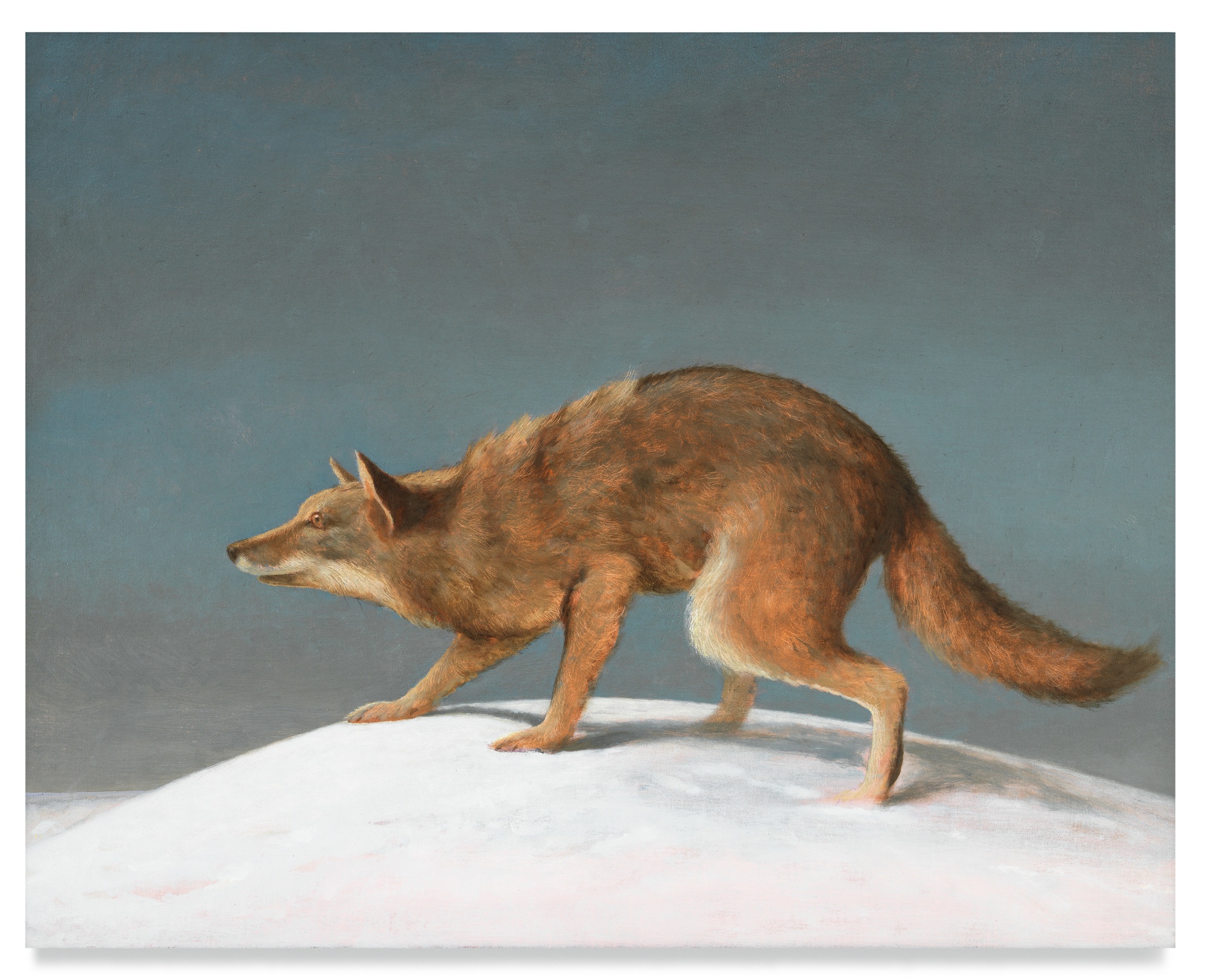 Wolf Moon, 2022, Oil on panel, 24 3/4 x 30 3/4 inches, 62.9 x 78.1 cm, MMG#34265