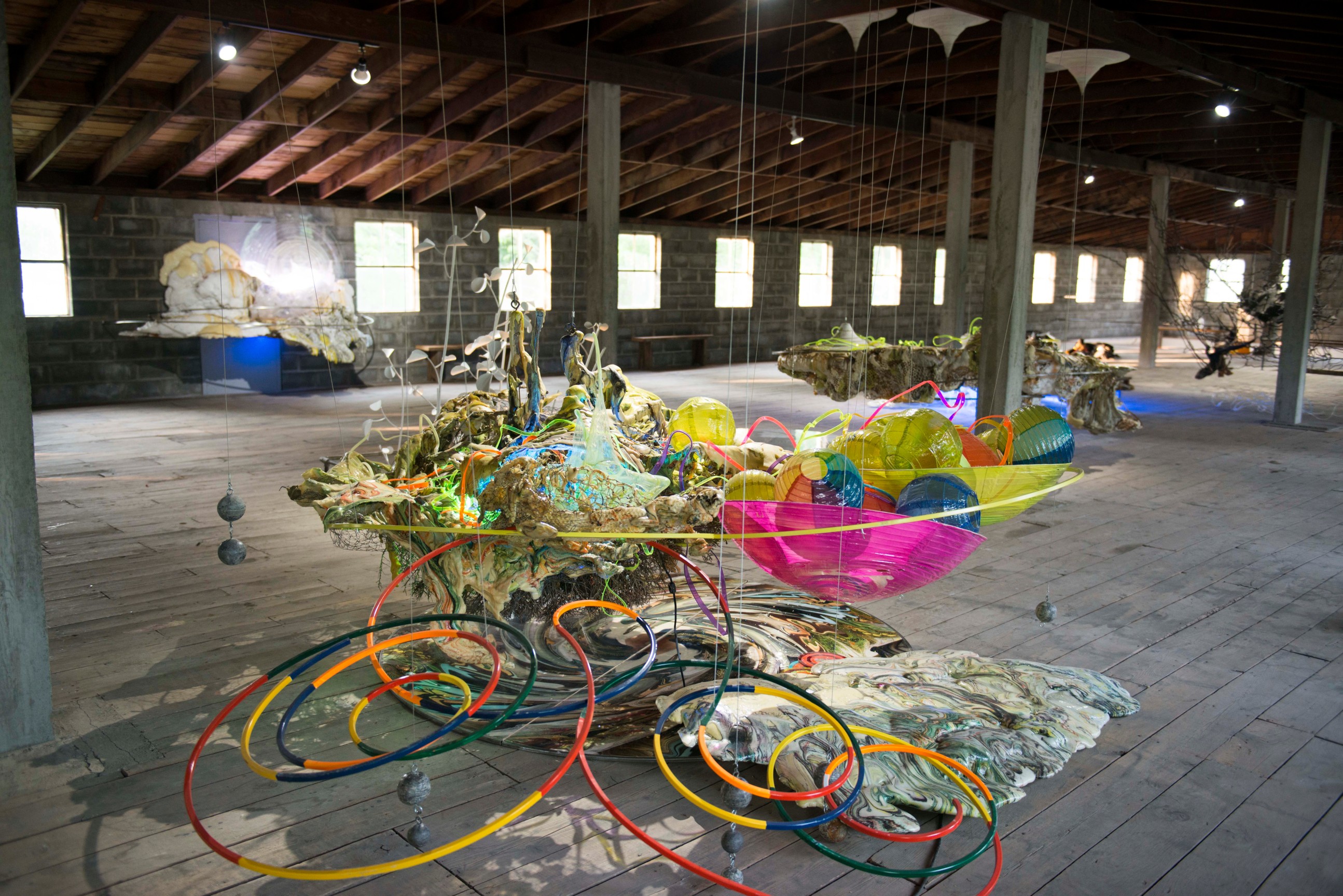 Grasshopper, 2016, Installation at CR10, Linlithgow, NY