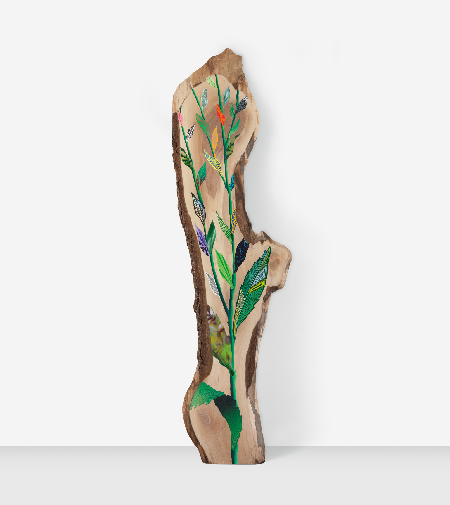 Twenty Seven Leaves of Fun, My Elm- Leaved Golden Rod, 2019, Acrylic and spray paint on black walnut 120 x 30 x 1.5 inches, MMG#30749