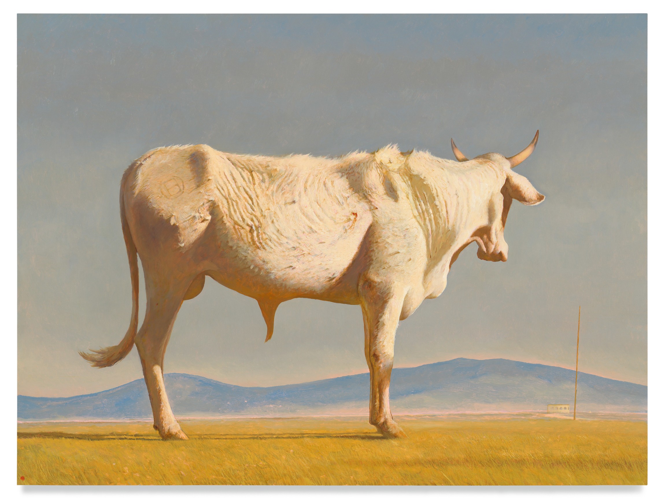 Plaza del Toro, 2022, Oil on linen, 60 x 80 inches, 152.4 x 203.2 cm, MMG#34537