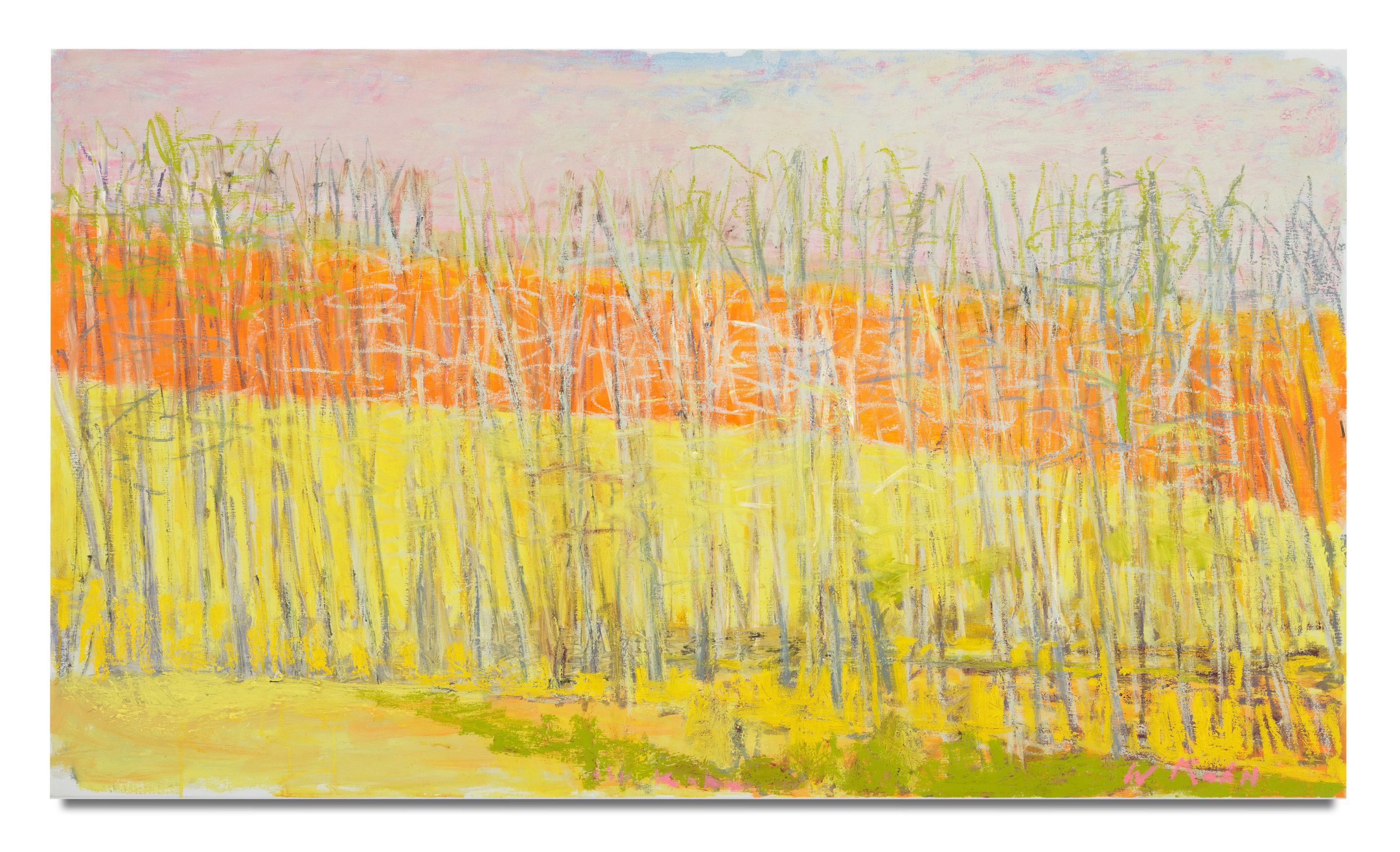 Translucent, 2013, Oil on canvas, 30 x 52 inches, 76.2 x 132.1 cm, MMG#32426