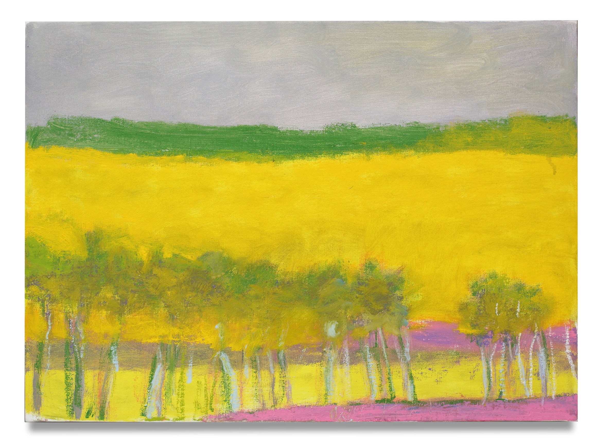 A Hint of Pink, 2013, Oil on canvas, 16 x 22 inches, 40.6 x 55.9 cm, MMG#20993