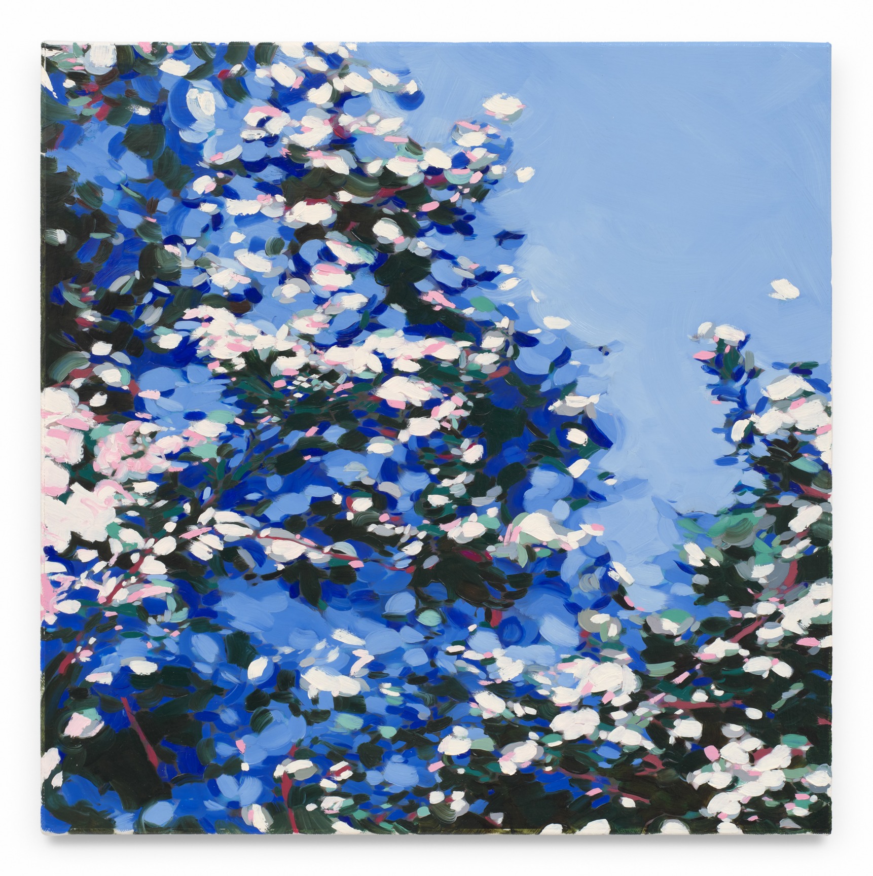 White Tree, 2023, Mixed media oil on canvas, 17 x 17 inches, 43.18 x 43.18 cm,&nbsp;MMG#36366