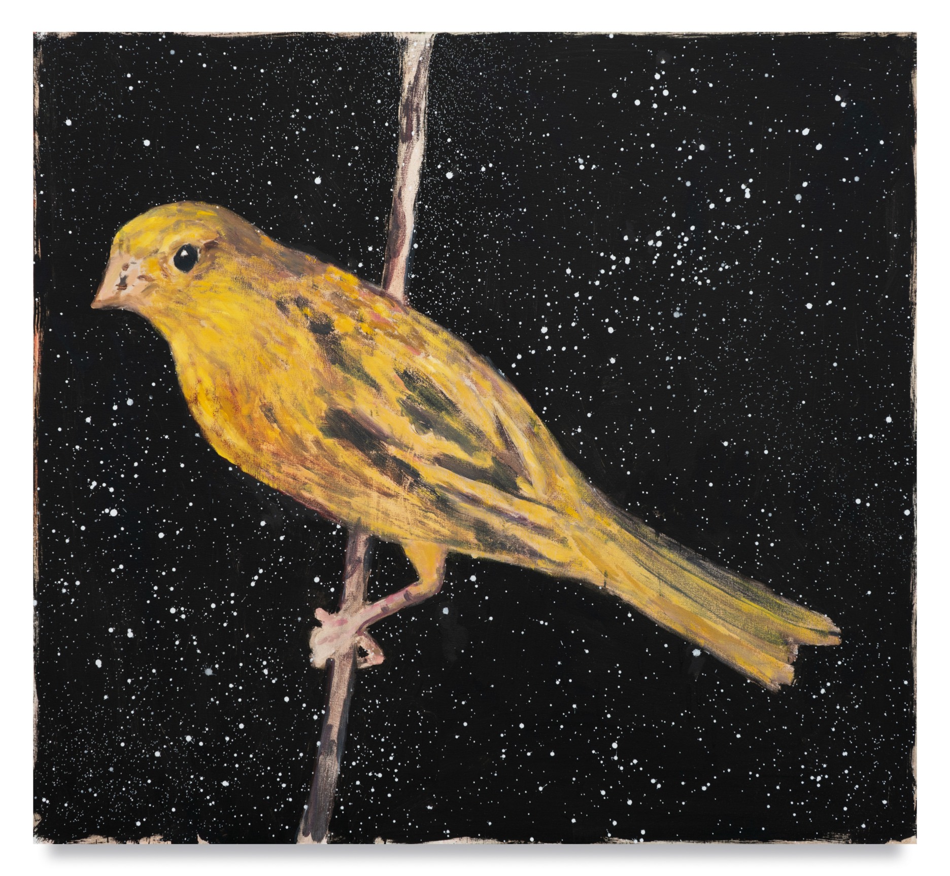 The Moat and the Eye, 2020, Oil and wax on canvas, 46 x 50 inches, 116.8 x 127 cm, MMG#34890