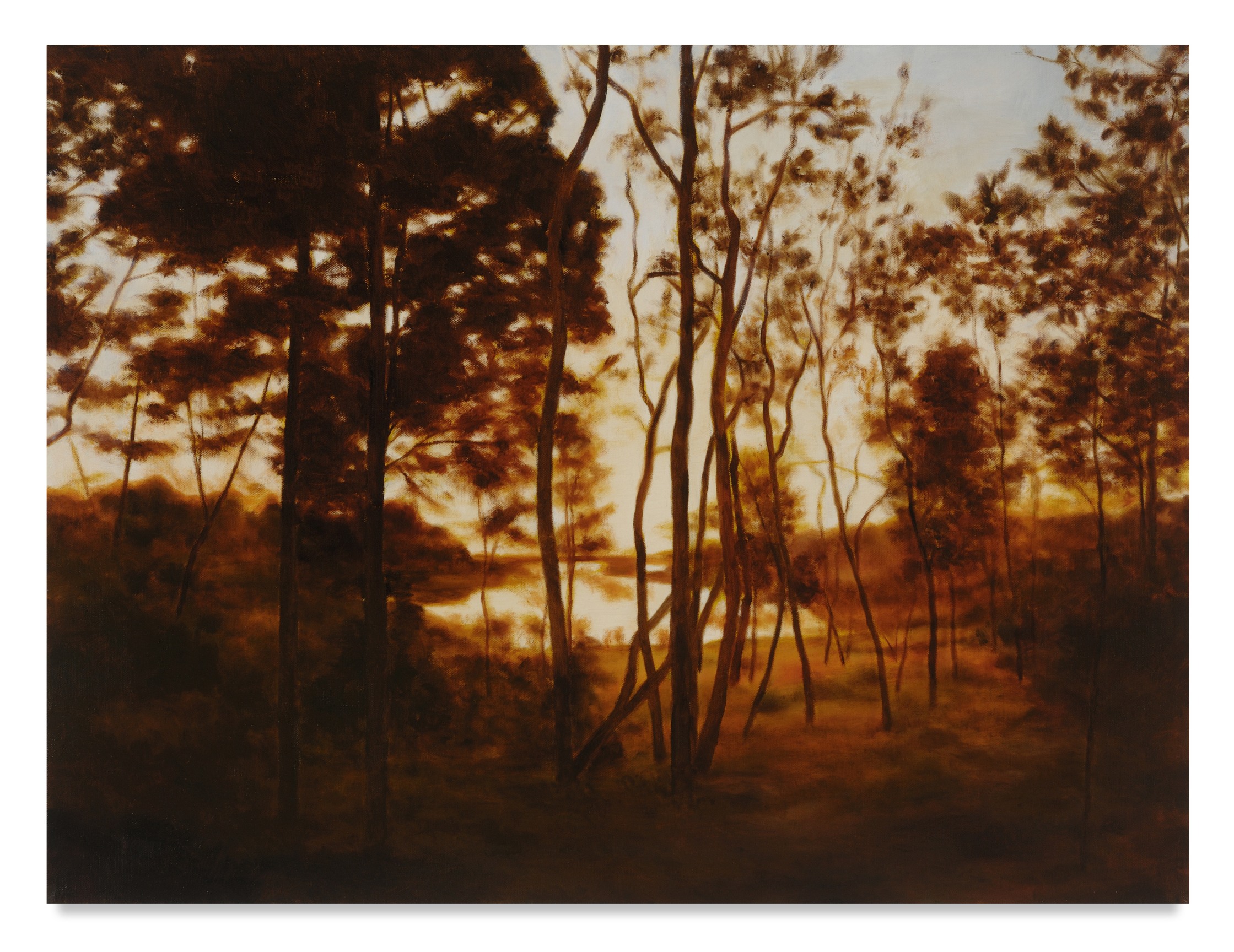 Fall Forest Light, 2015, Oil on linen,21 x 26 inches, 53.3 x 66 cm, MMG#30411