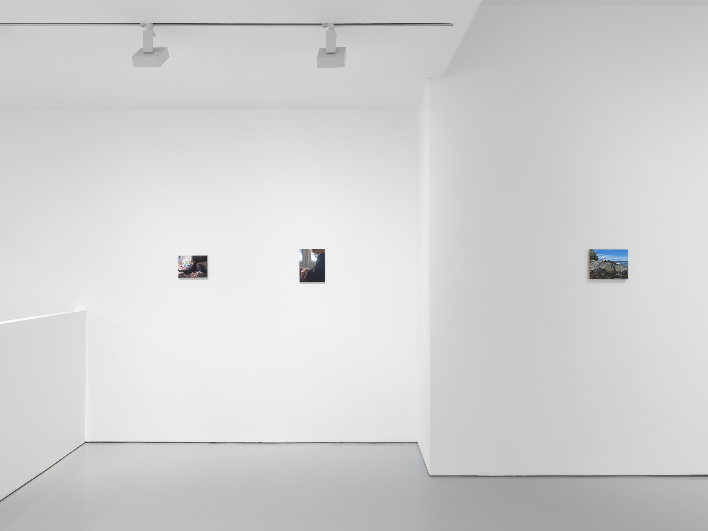 New York, NY: Miles McEnery Gallery, &ldquo;Tim Hawkinson: Cabinet Pictures,&rdquo;