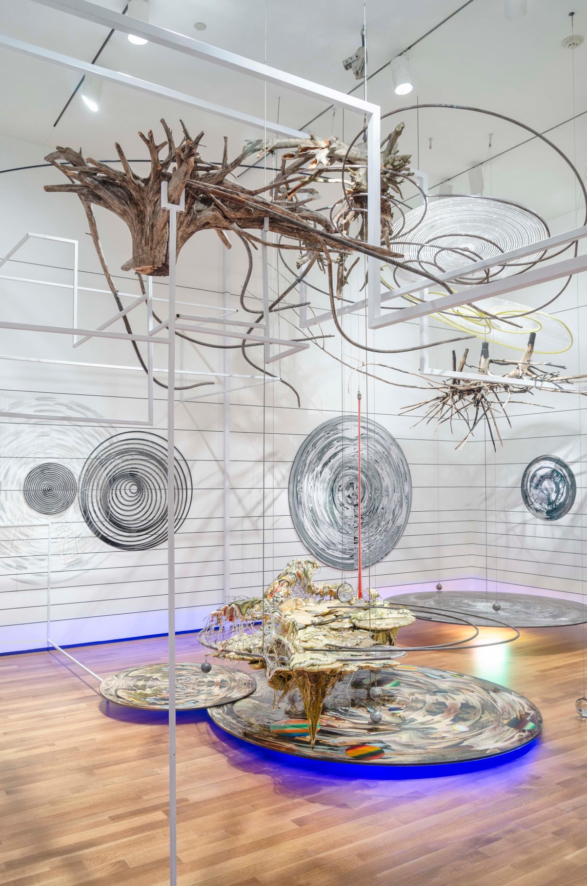 Turtle,&nbsp;2016, Installation at Akron Art Museum, Akron, OH