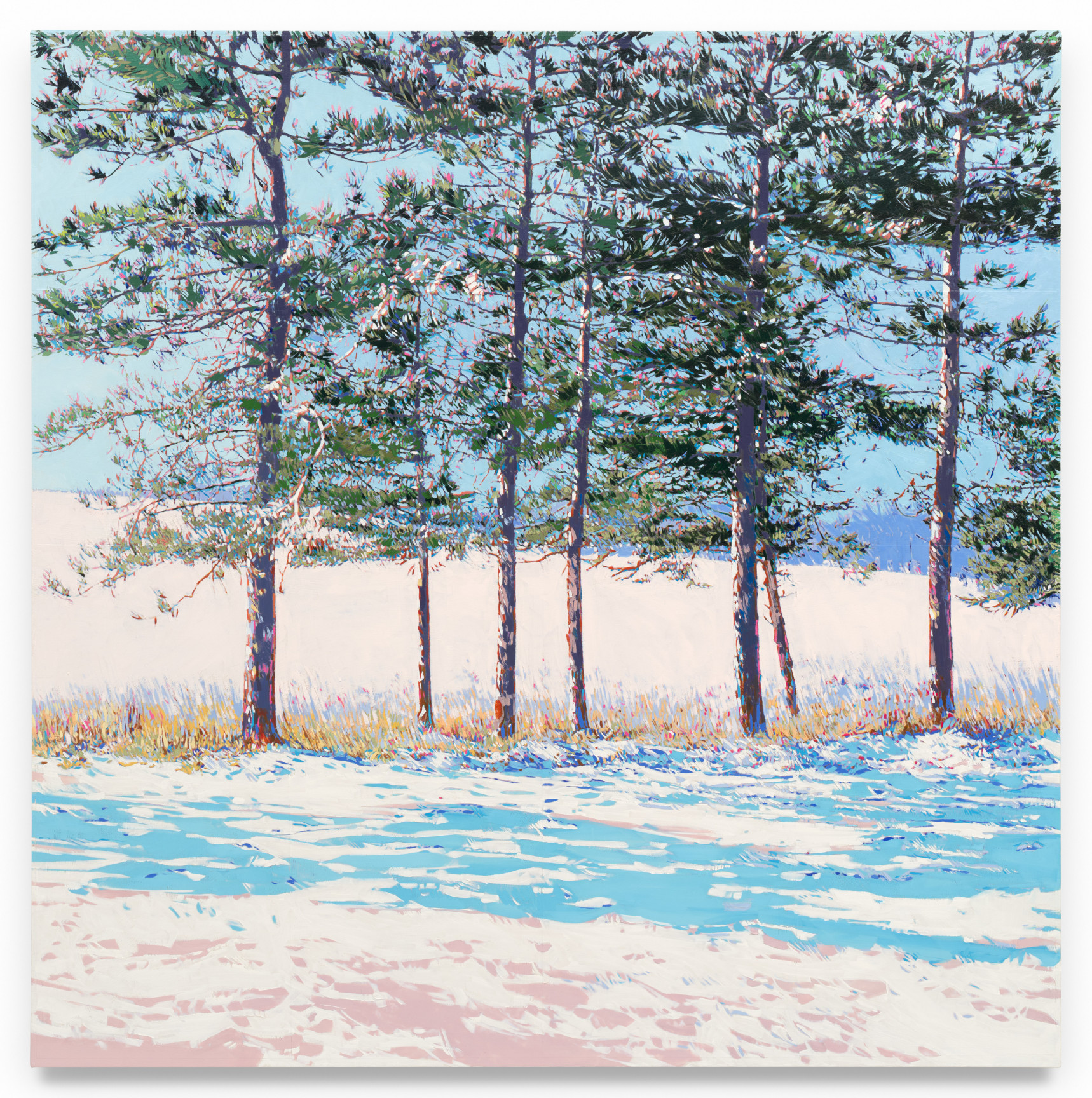 Seven Trees, 2024, Mixed media oil on canvas, 68 x 68 inches, 172.7 x 172.7 cm,&nbsp;MMG#36654