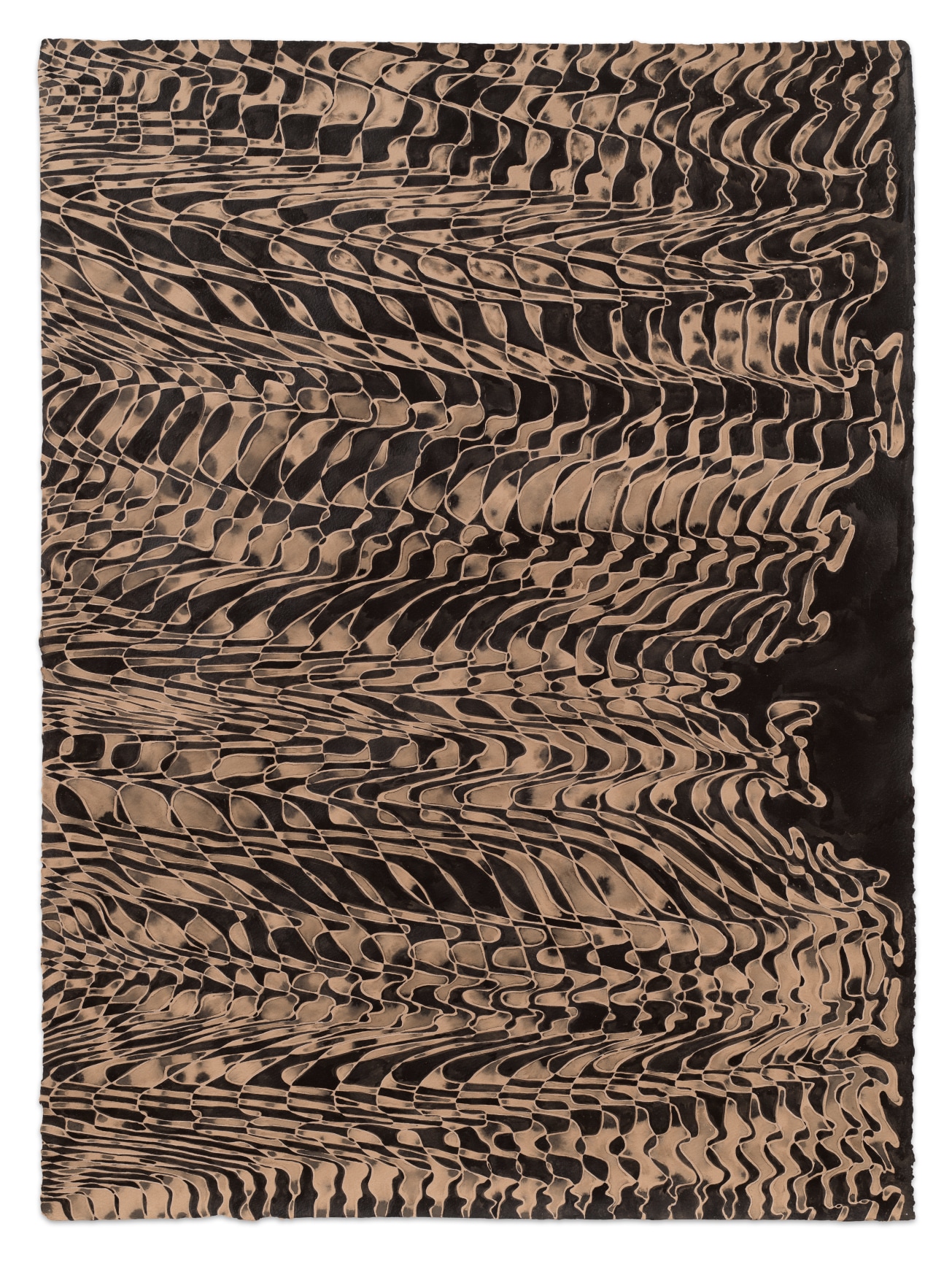 Sessilae, 2023, Ink, graphite, and colored pencil on paper,