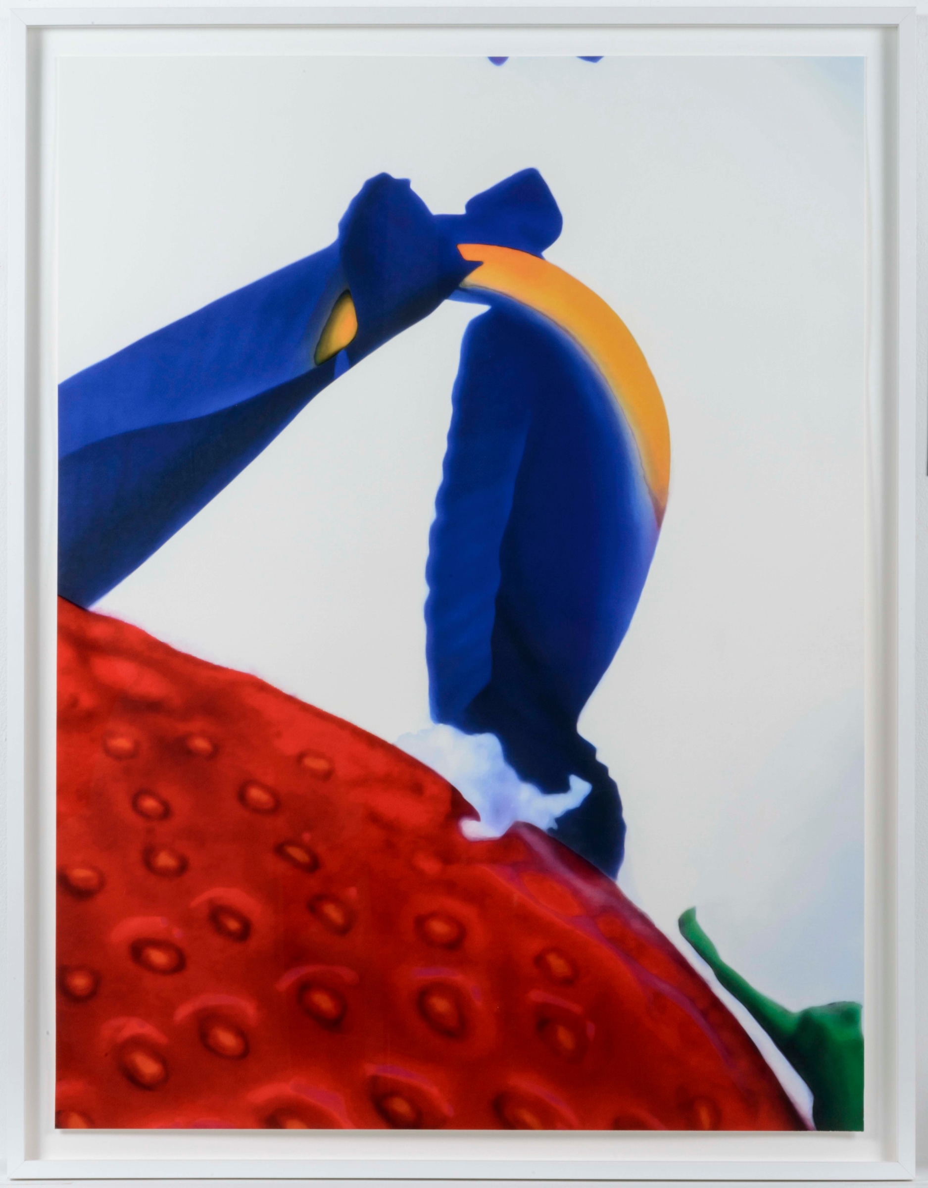 Marc Quinn, Portraits of Landscapes, Pigment print