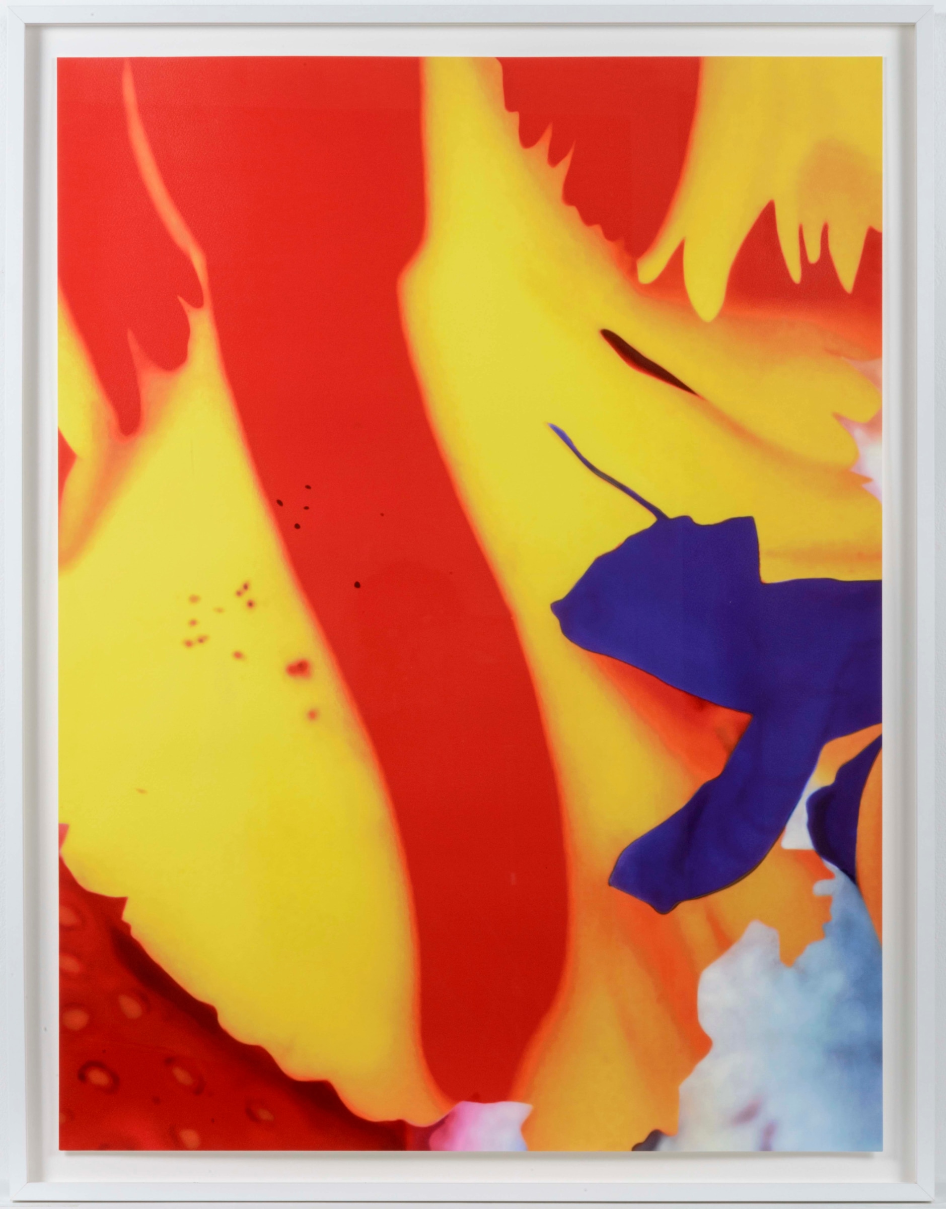 Marc Quinn, Close Up 2, Pigment print