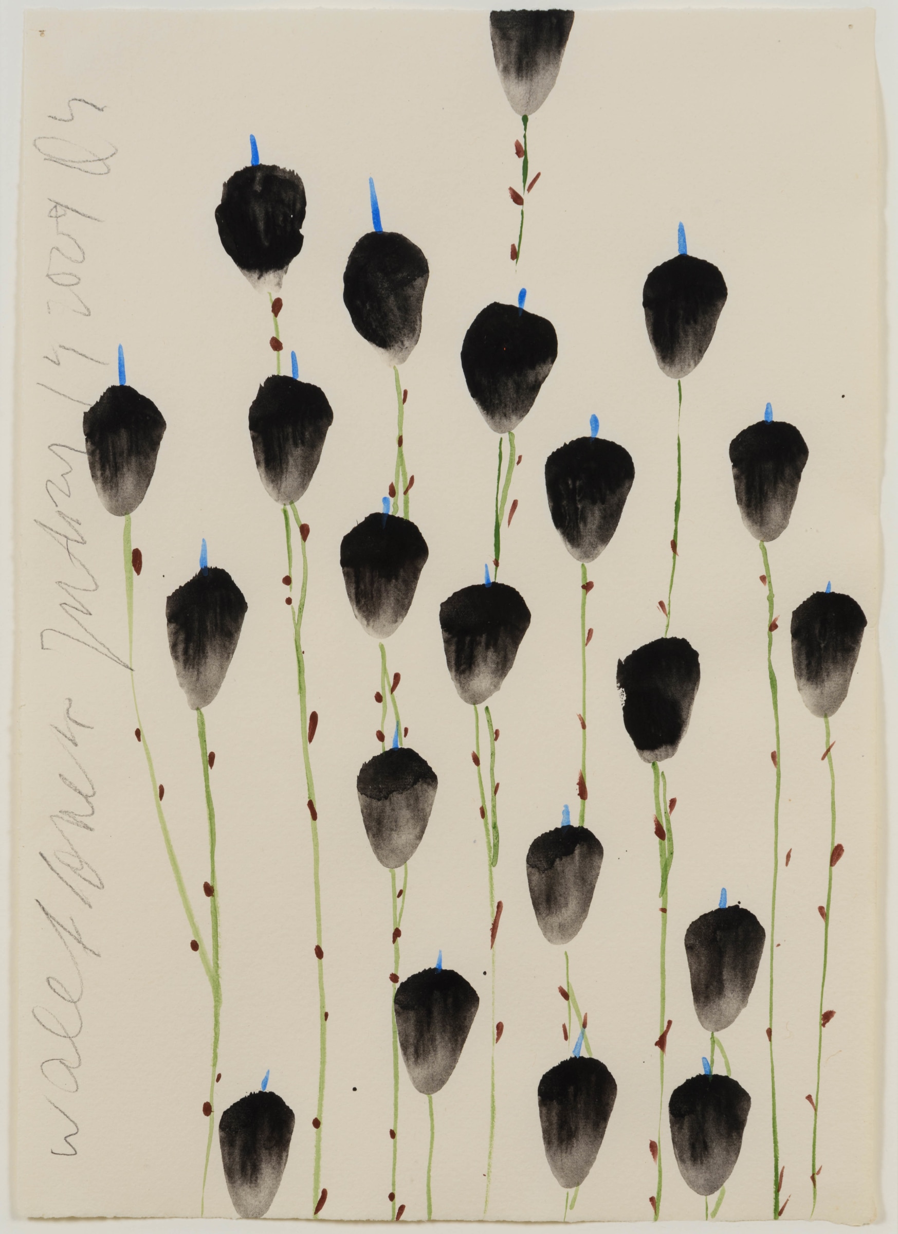 Donald Sultan, Wallflowers, Tempera Drawing