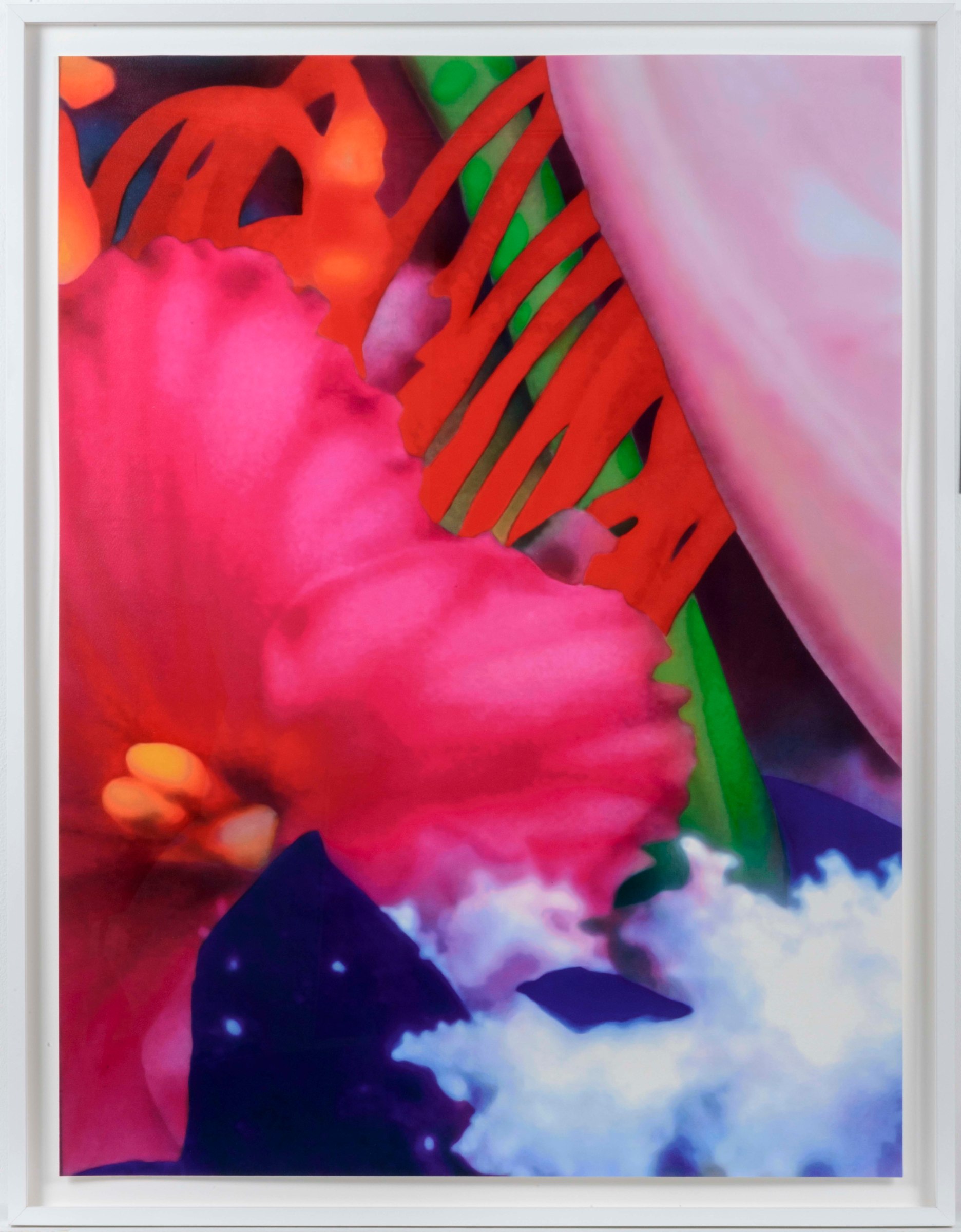 Marc Quinn, Portraits of Landscapes 5, Pigment Print