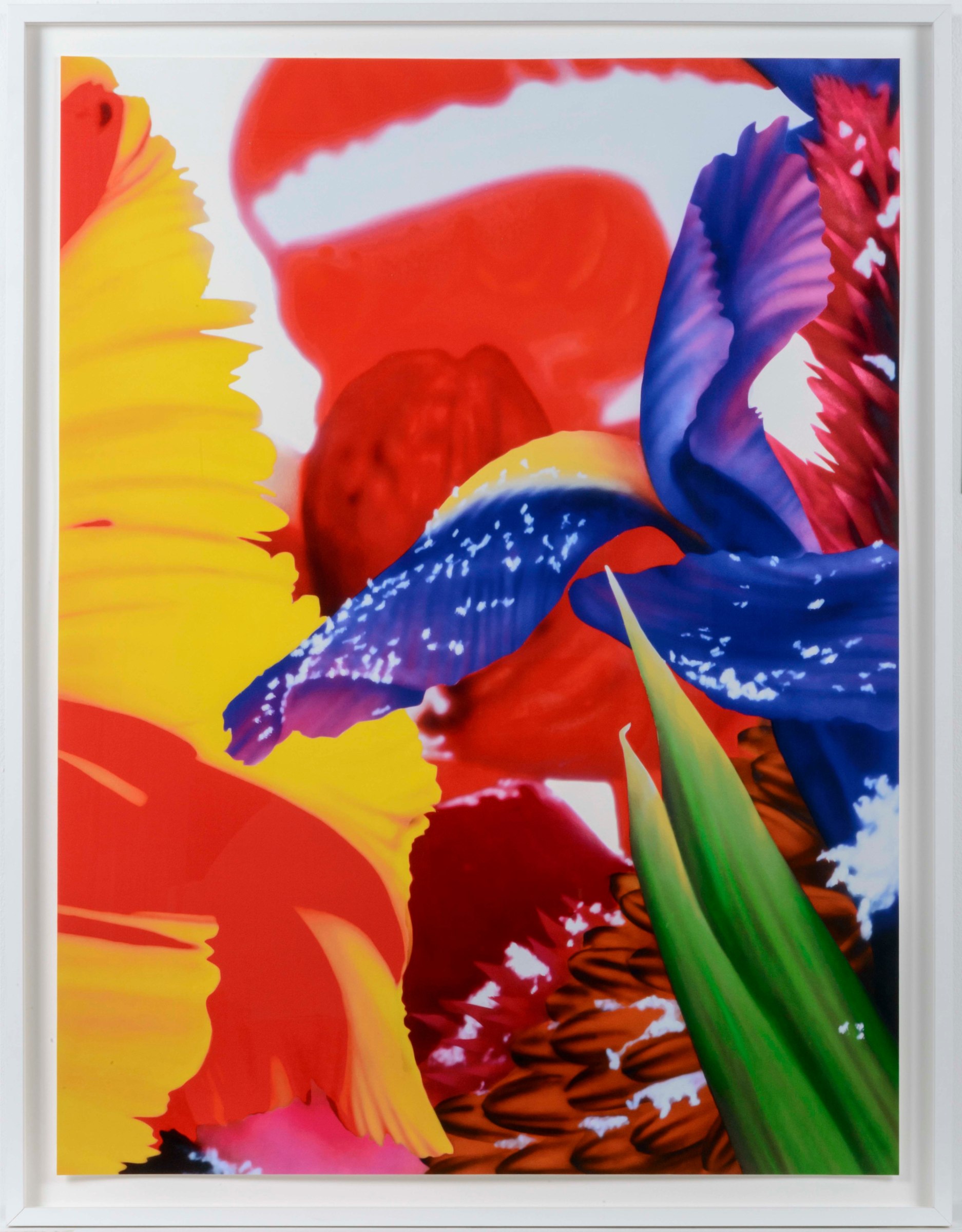 Marc Quinn, Portraits of Landscapes 4, Pigment Print
