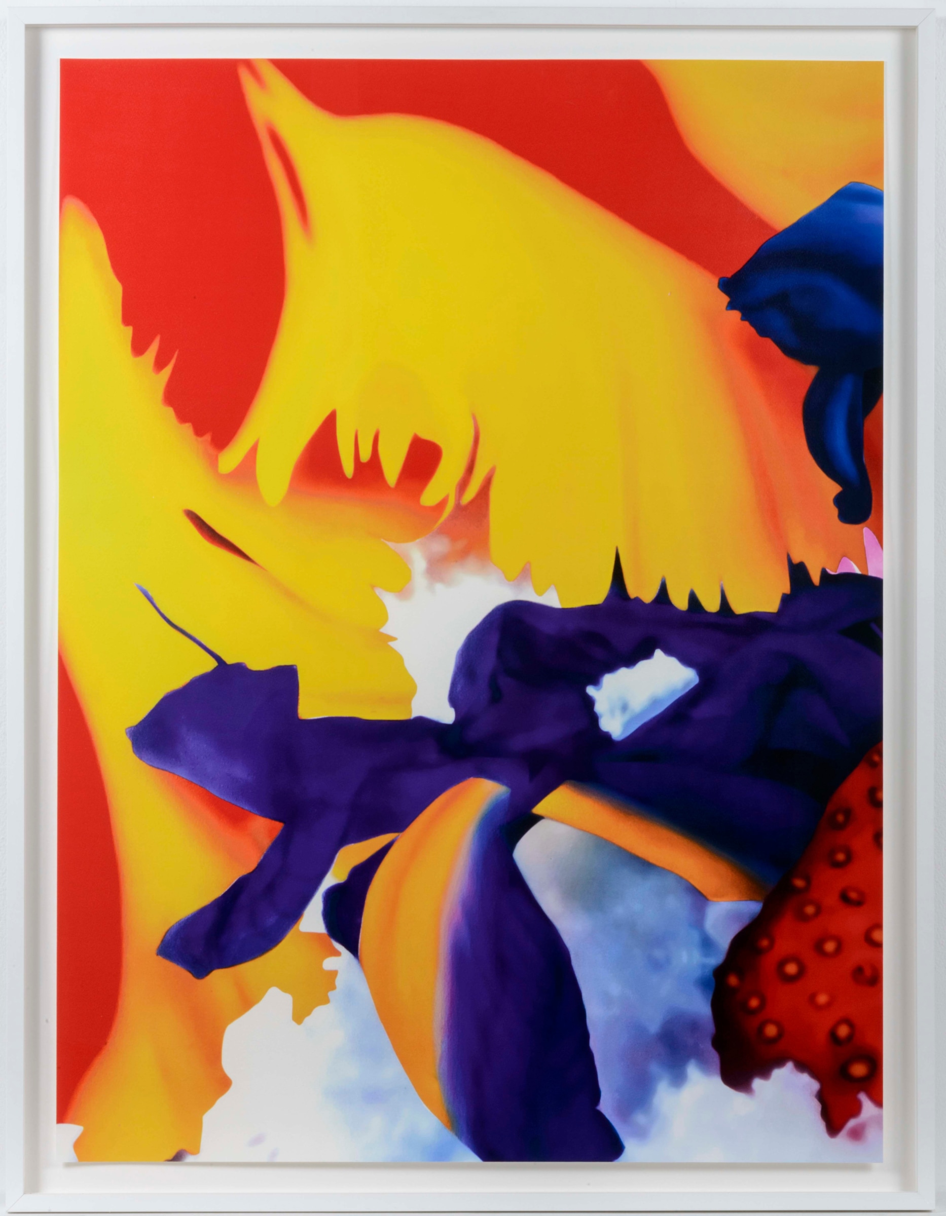 Marc Quinn, Portraits of Landscapes 7, Pigment Print