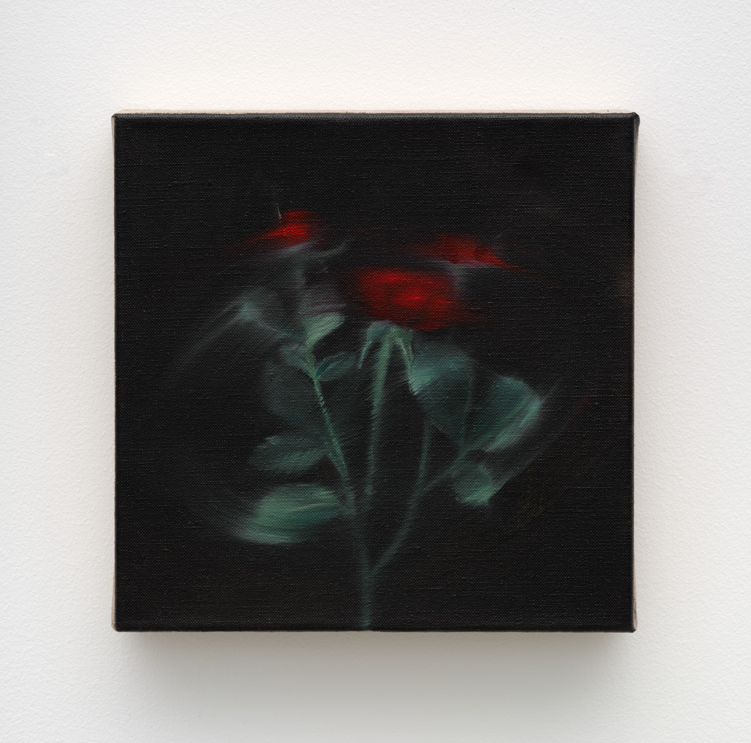 Mia Middleton Spiral, 2023