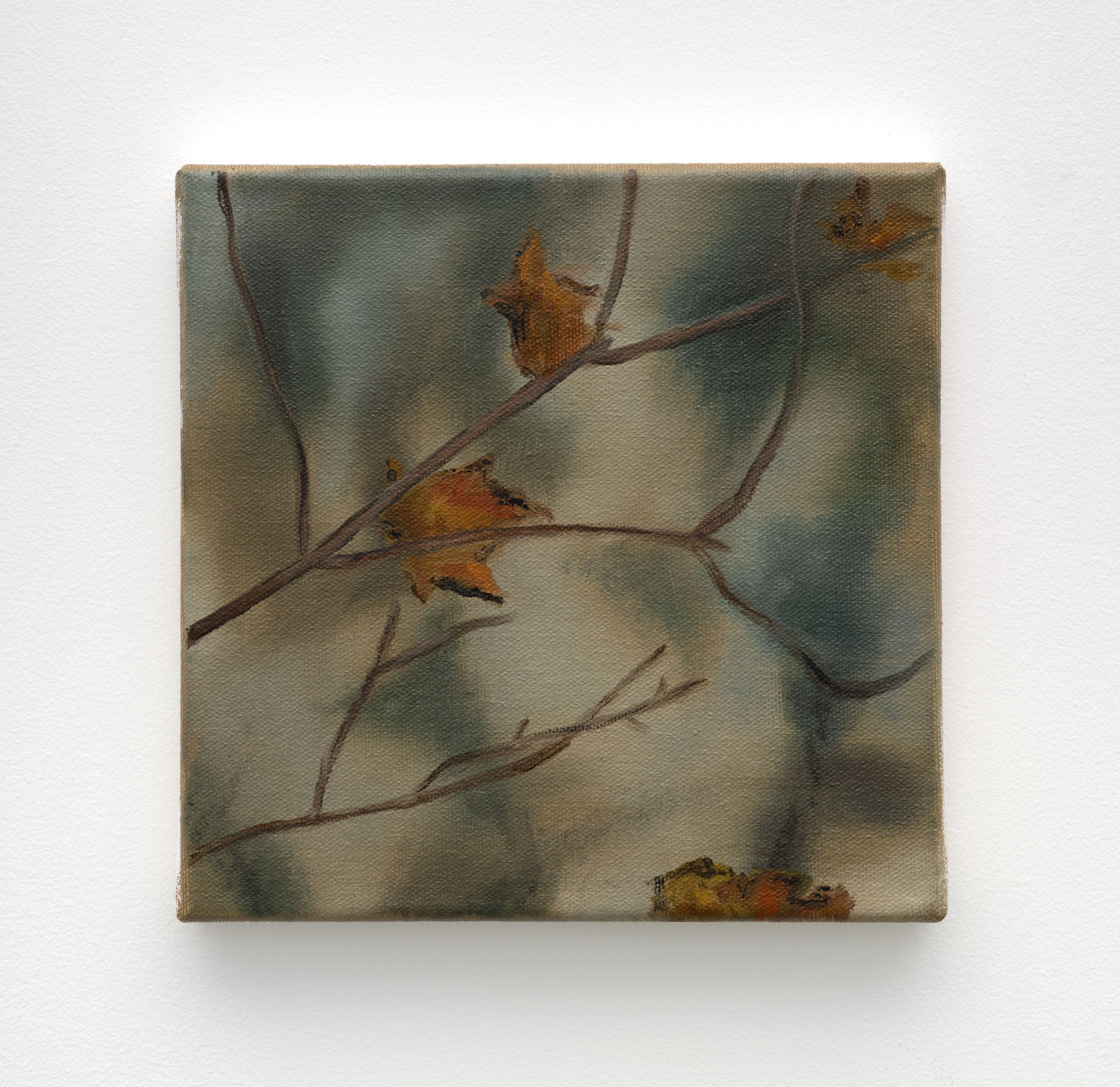 Mia Middleton Above the Maze, 2023