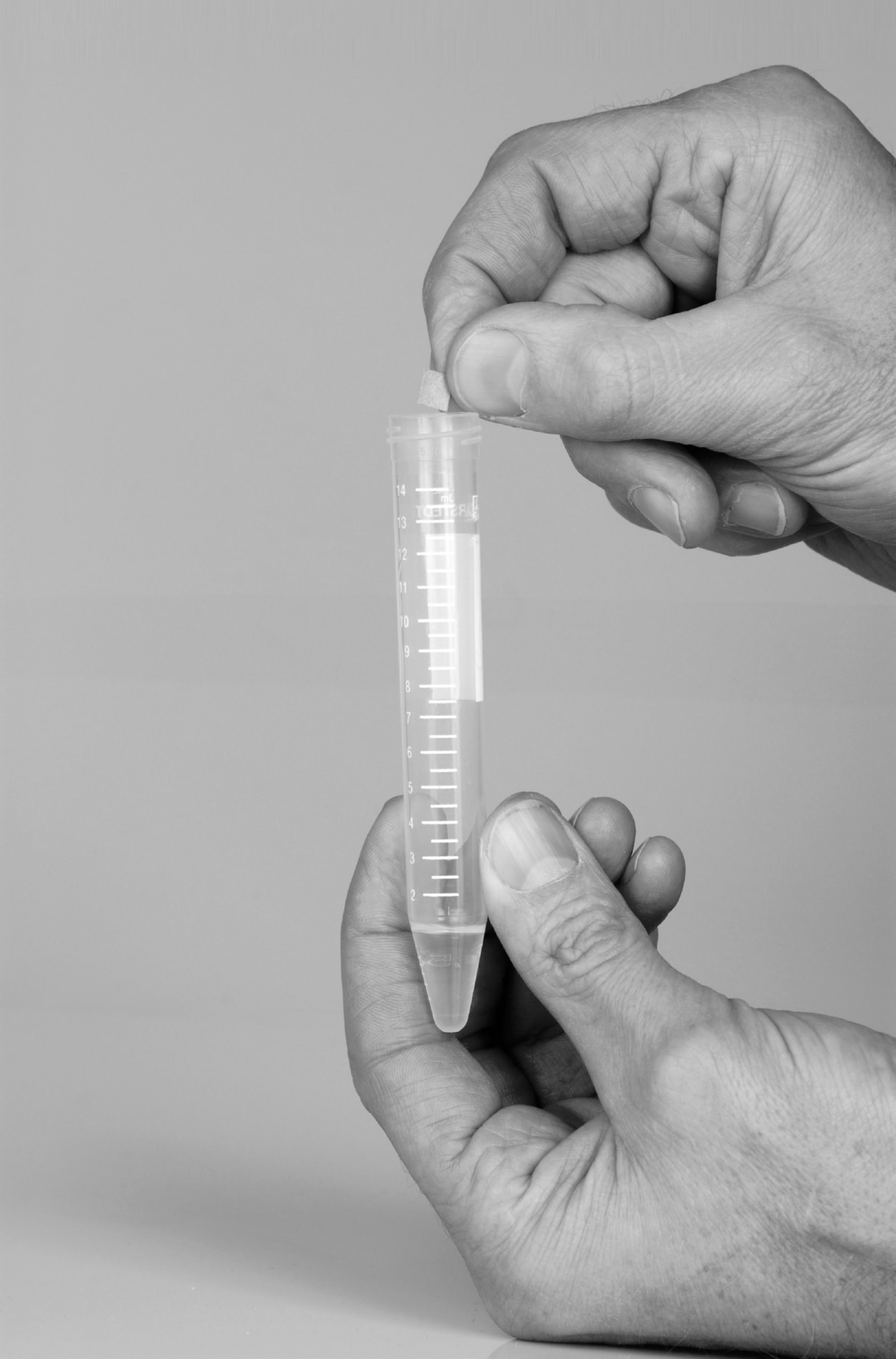 Jordan Tate, Alternate Projects, Alternative Dreamers