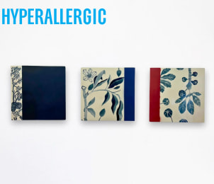 Anat Shiftan in Hyperallergic