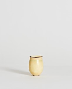 Elegant Vase