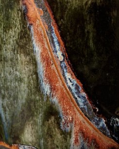 Serpentine