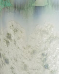Danish Frost