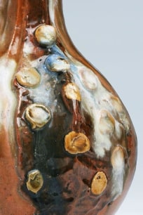 Flowering Bulb